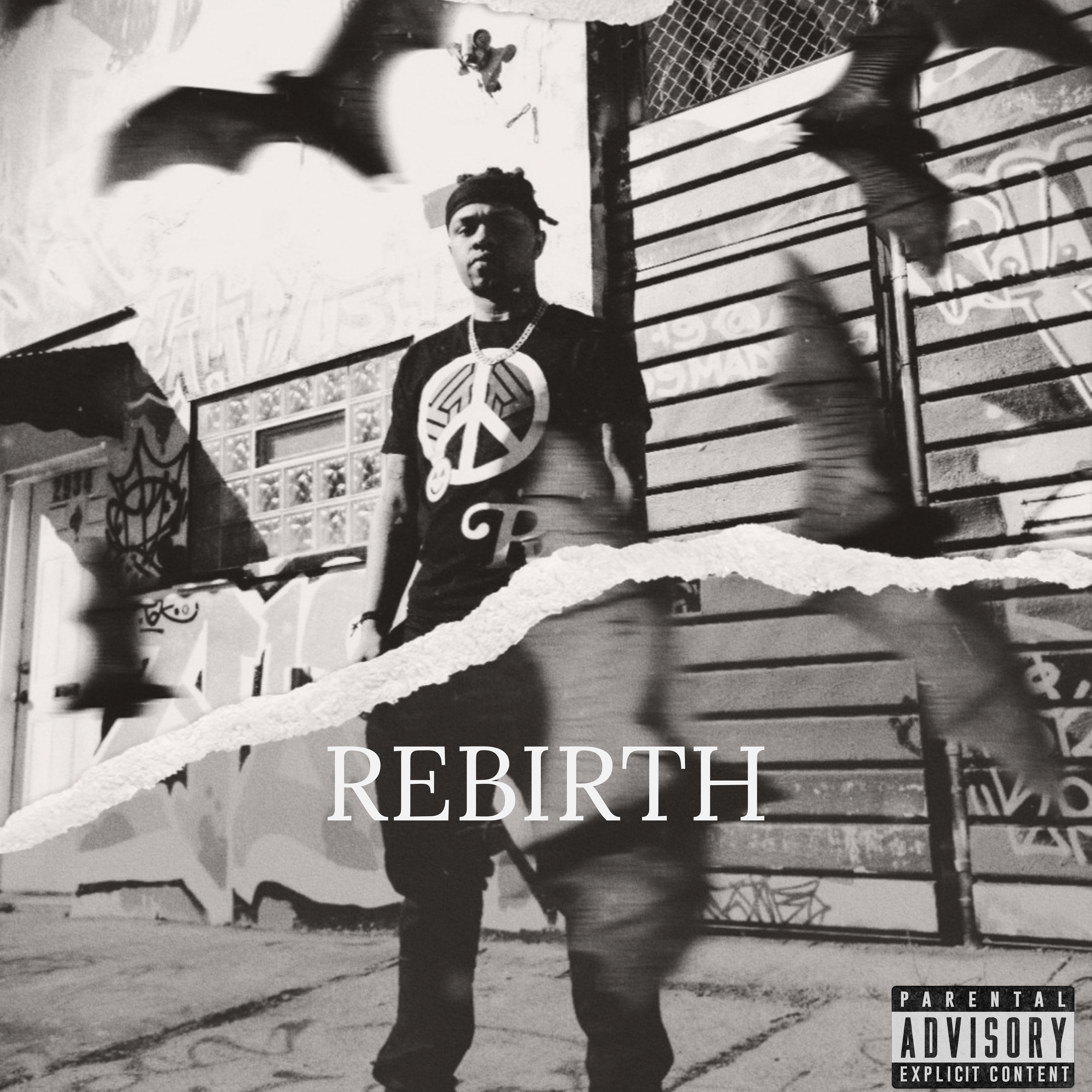 REBIRTH artwork