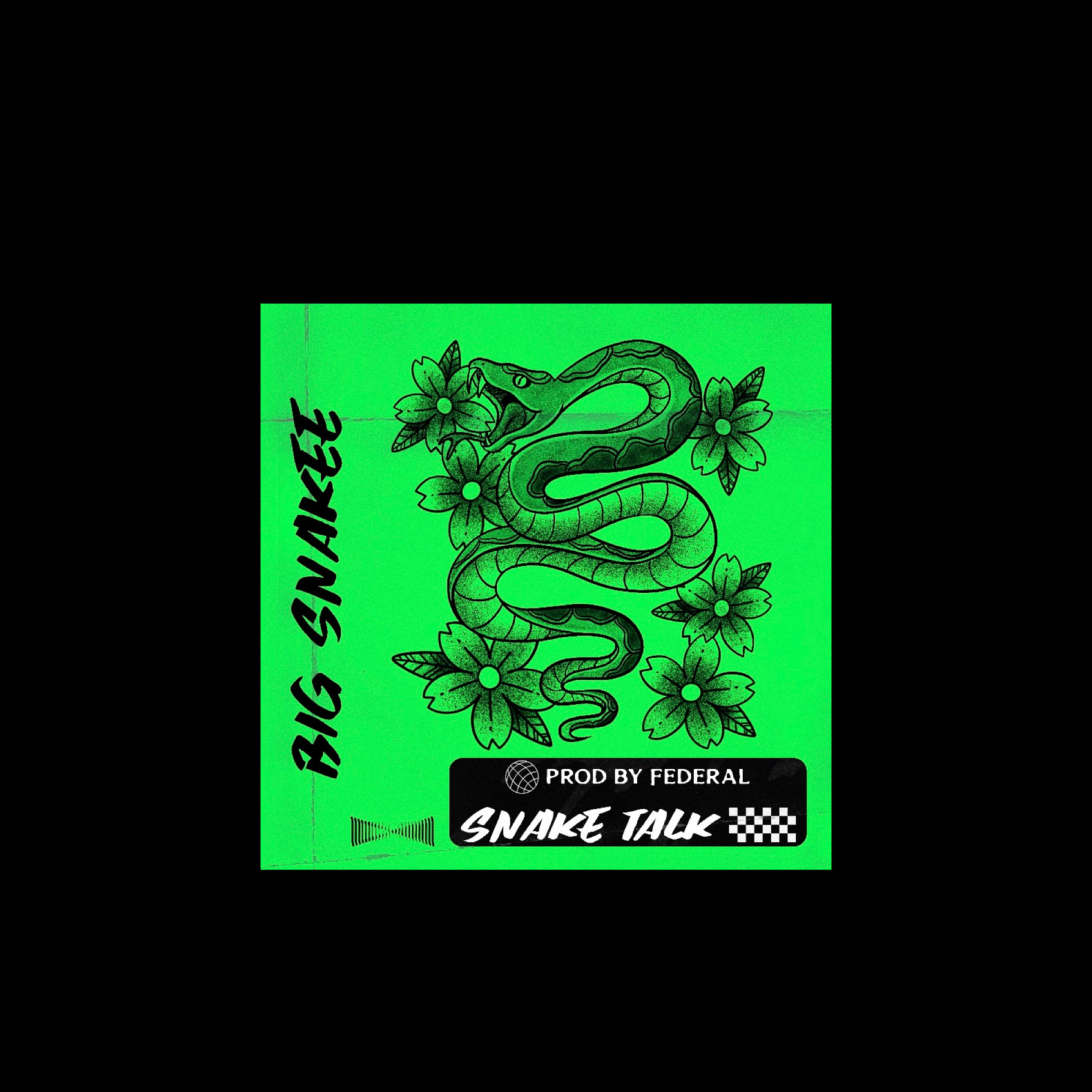 Snake Talk by Big Snake cover art