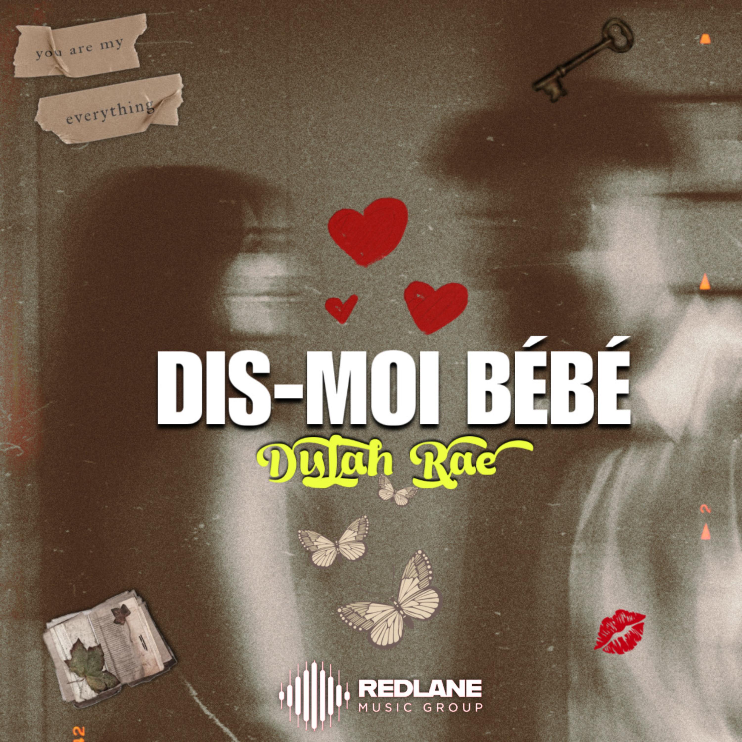 Dis-Moi Bébé artwork