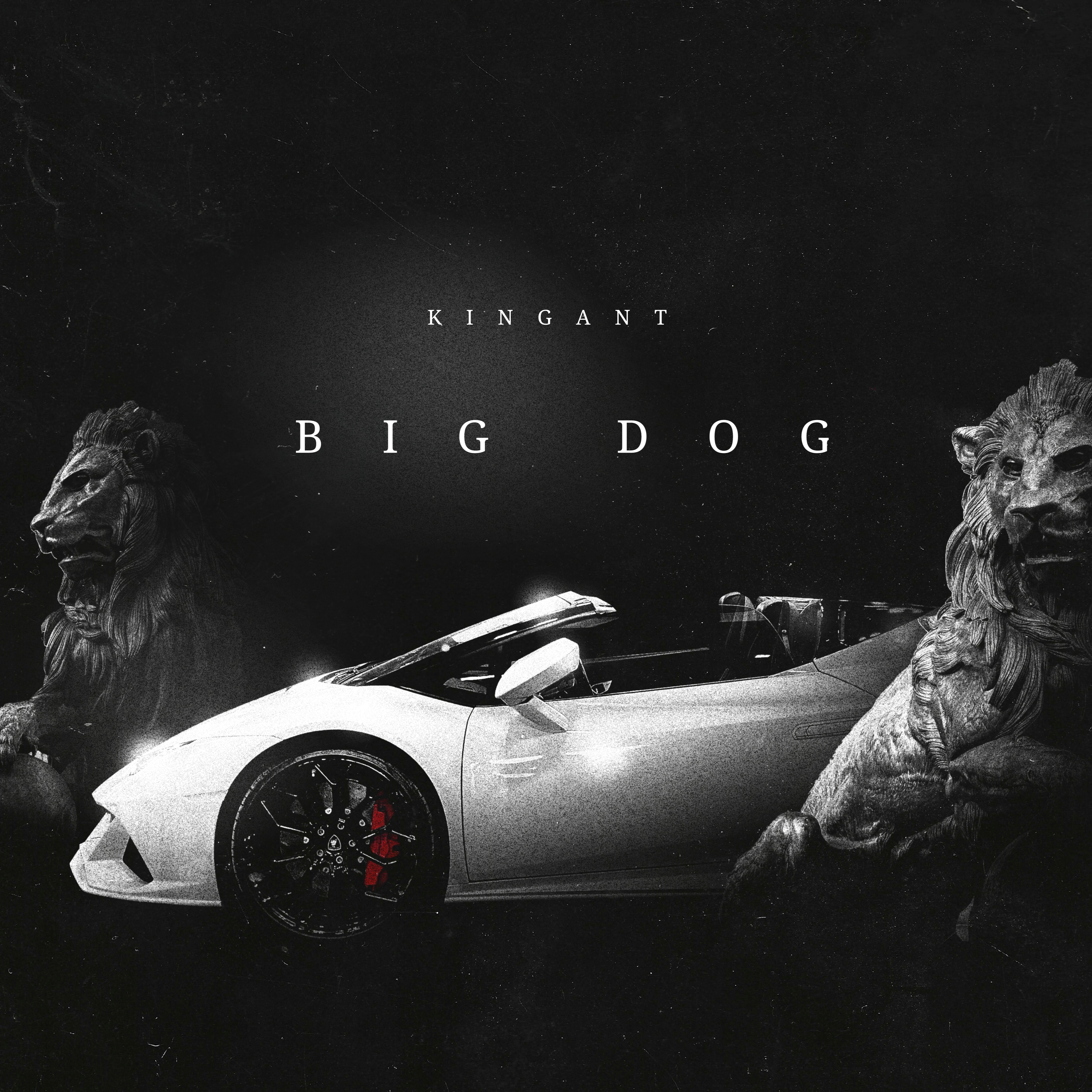 BIG DOG artwork