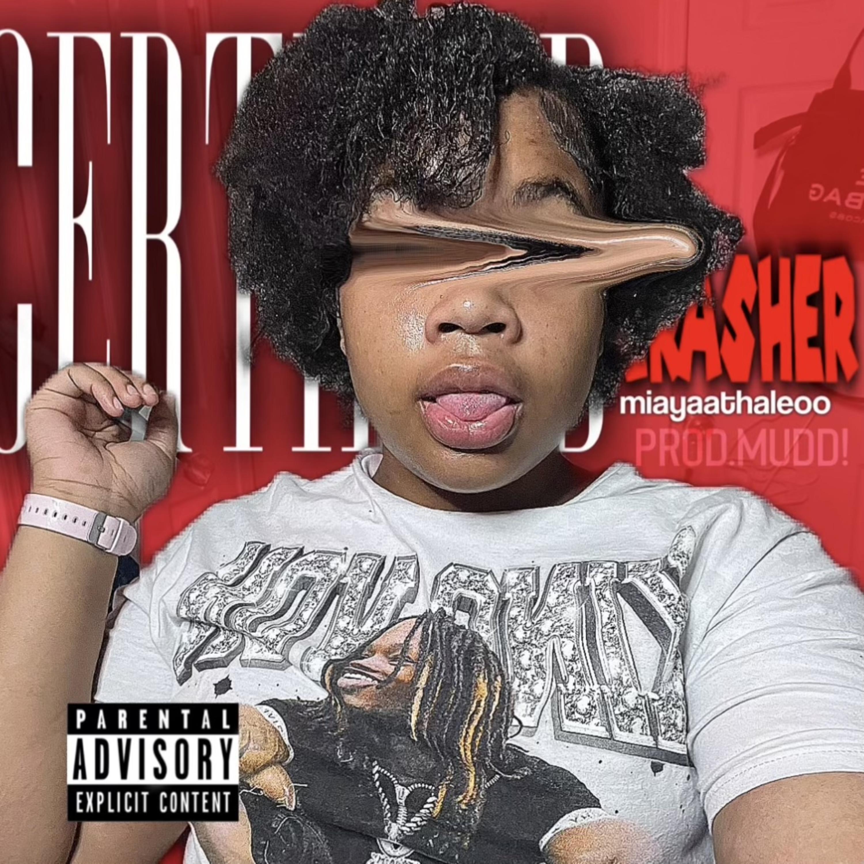 CERTIFIED CRASHER artwork