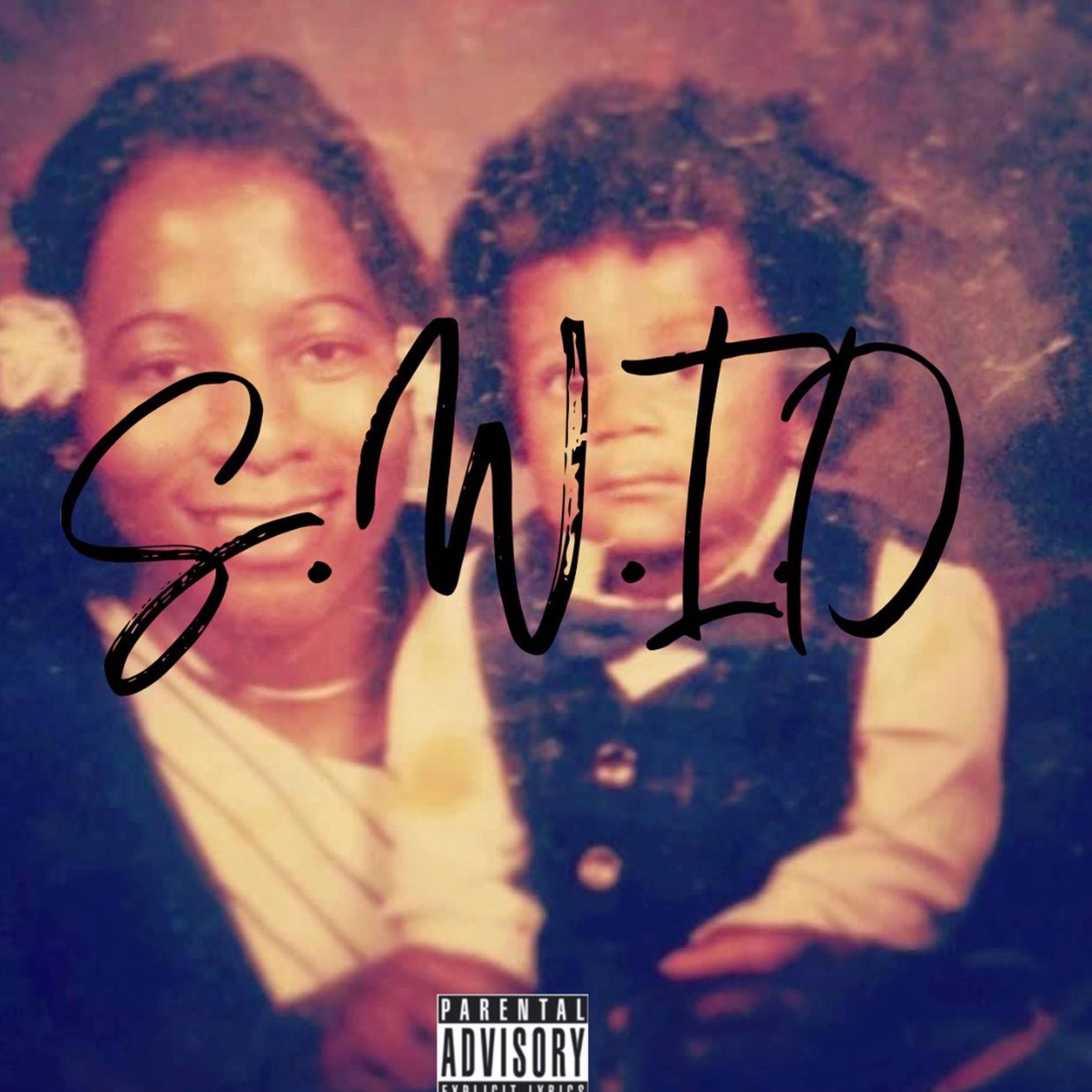 S.W.I.D artwork