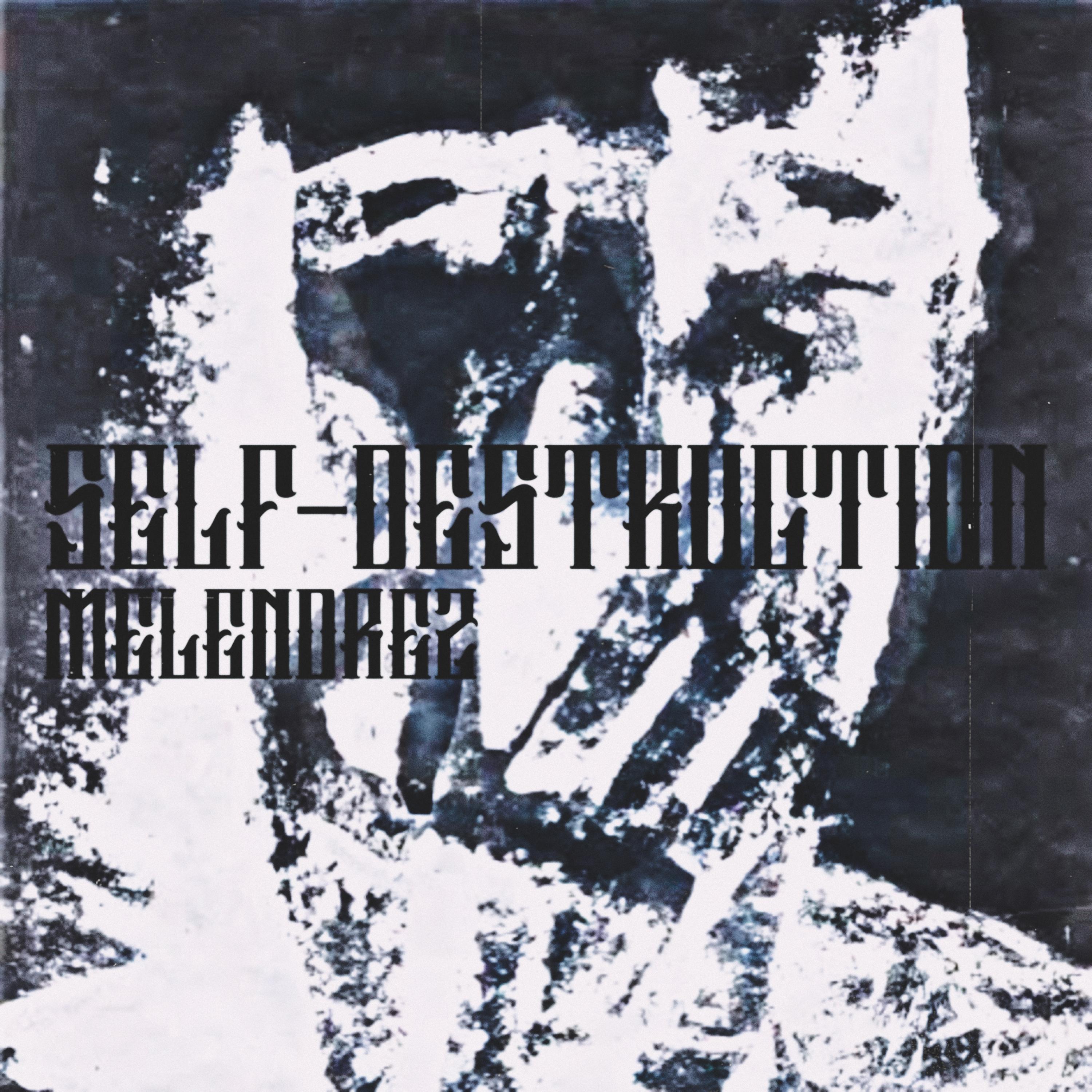 SELF-DESTRUCTION by Melendrez cover art