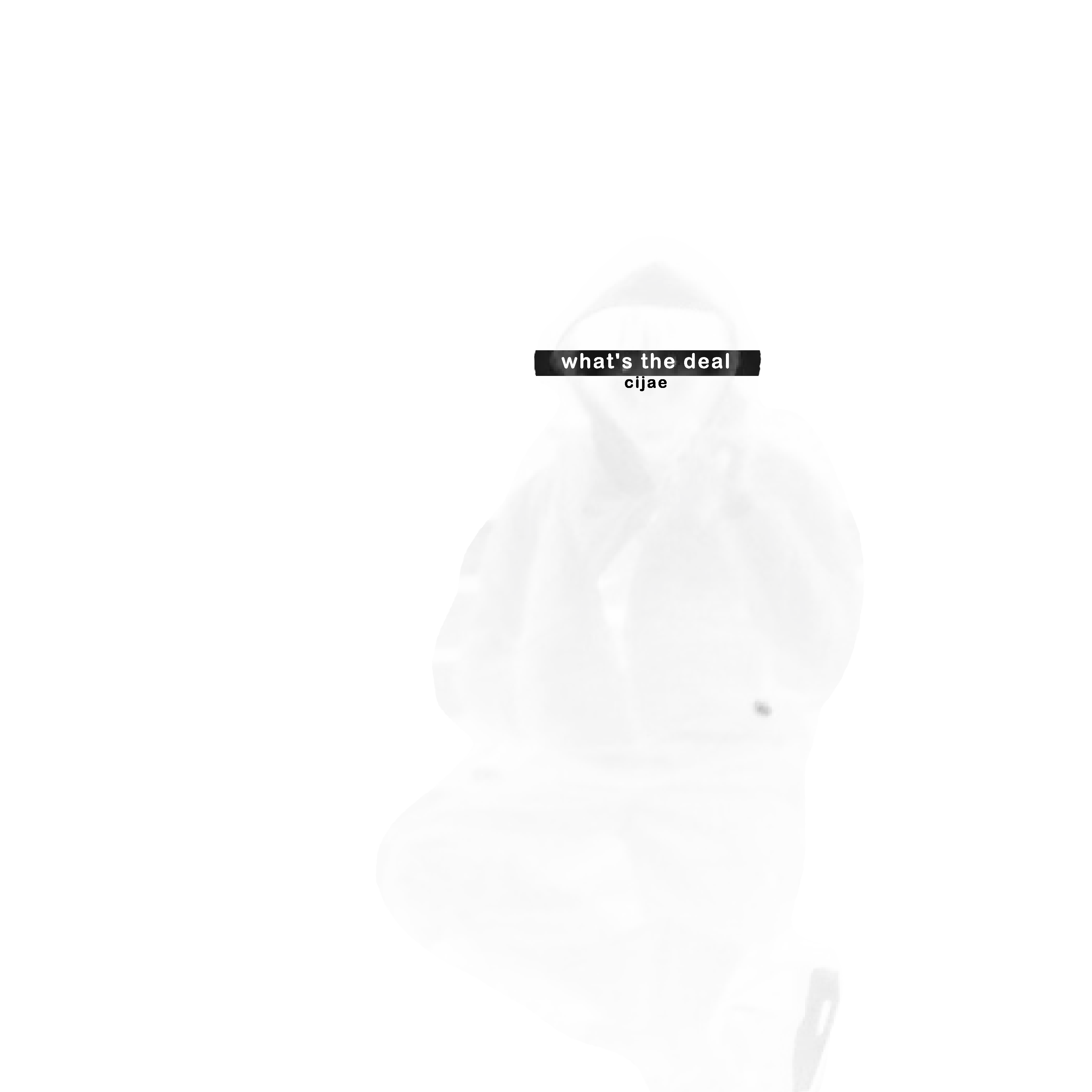 what's the deal artwork