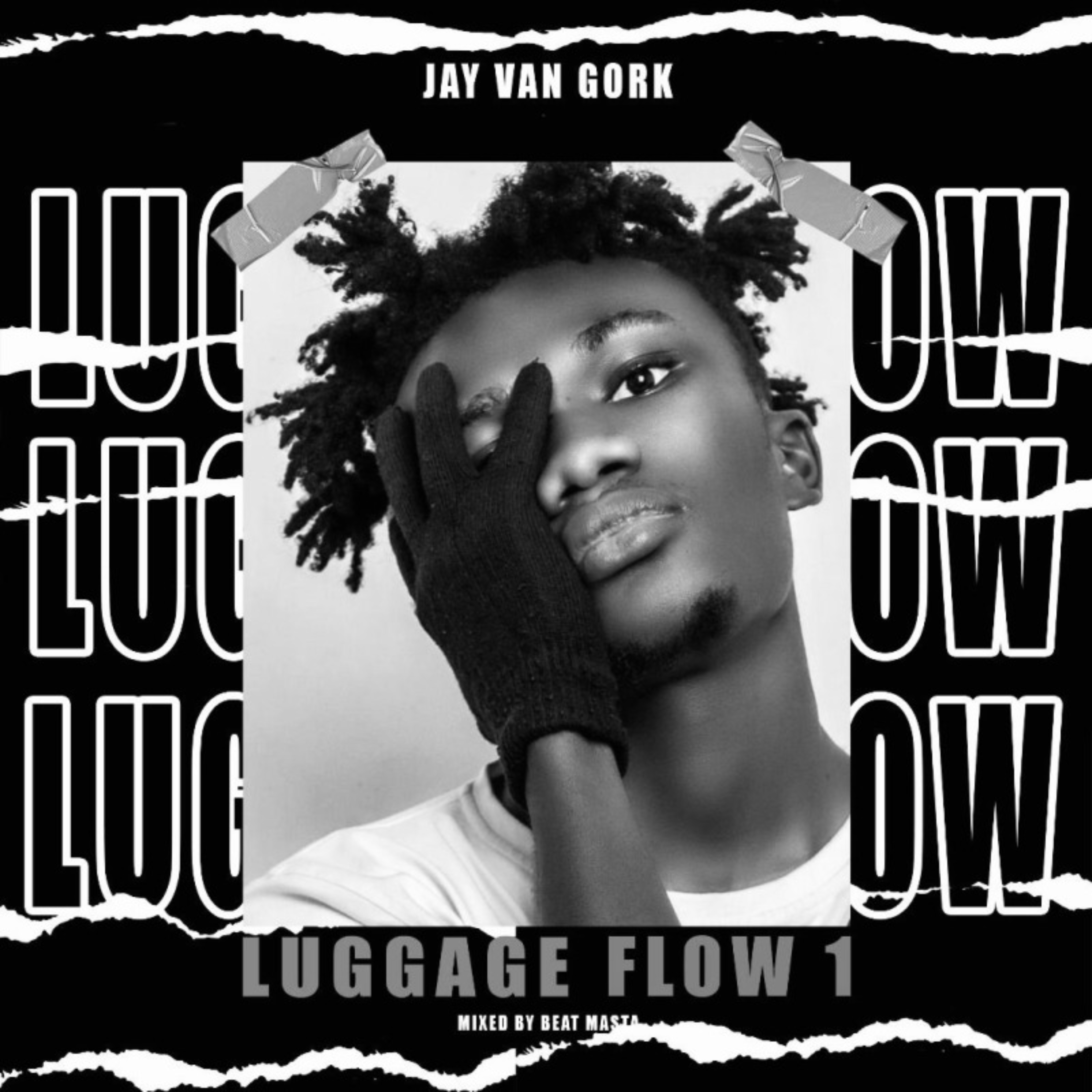 LUGGAGE FLOW 1 by Jay Van Gork cover art