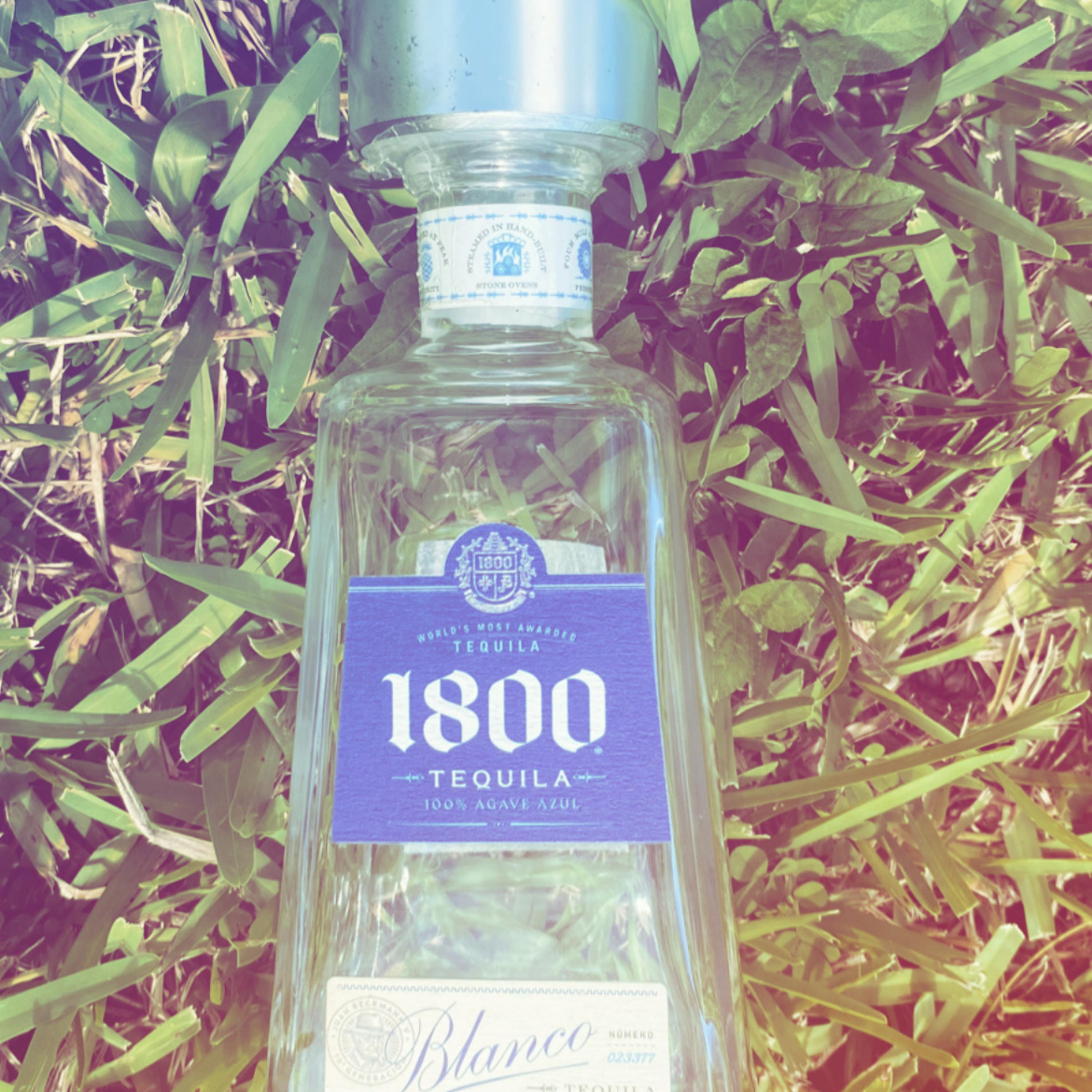 1800 Tequila artwork