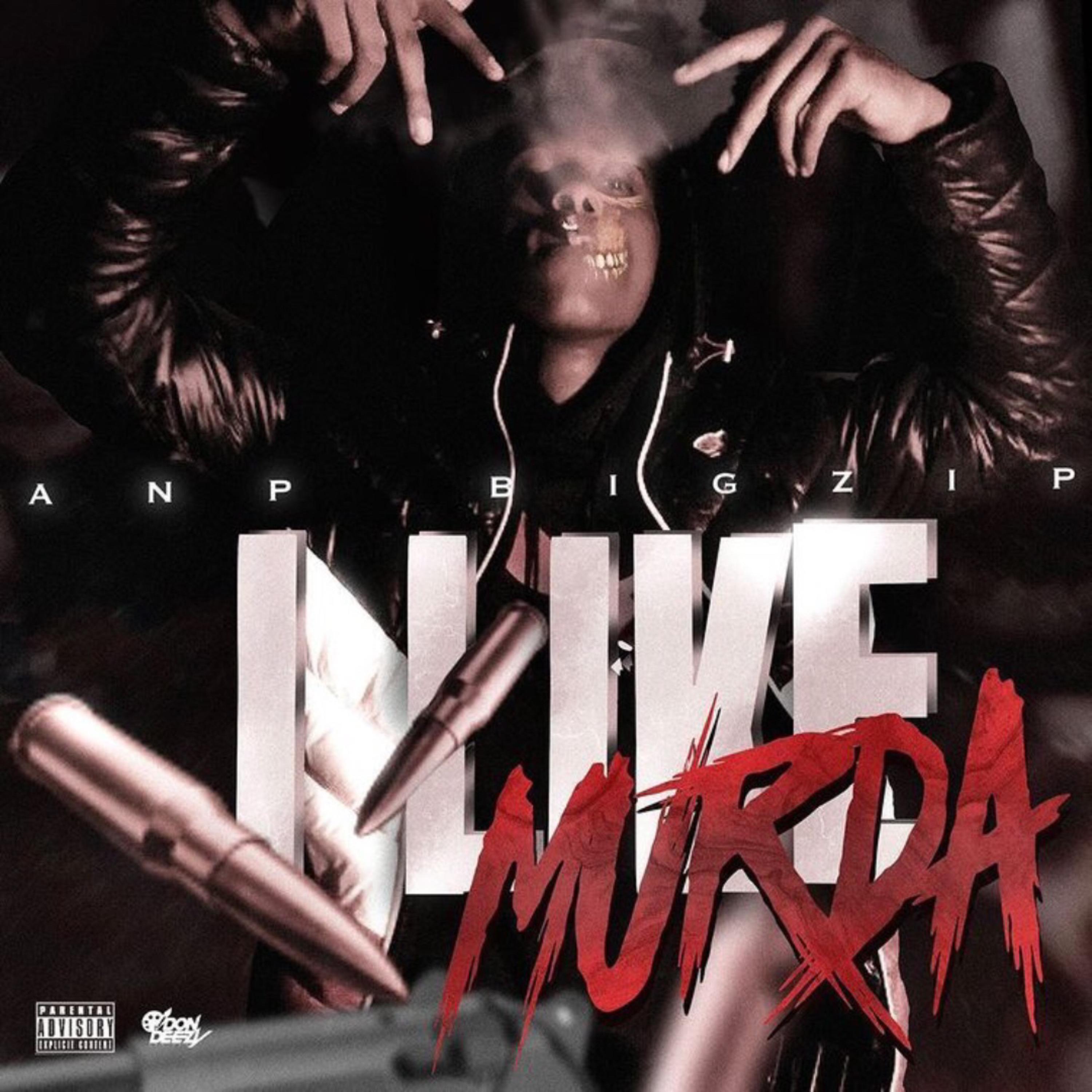 I Like Murda by ANP BigZip cover art