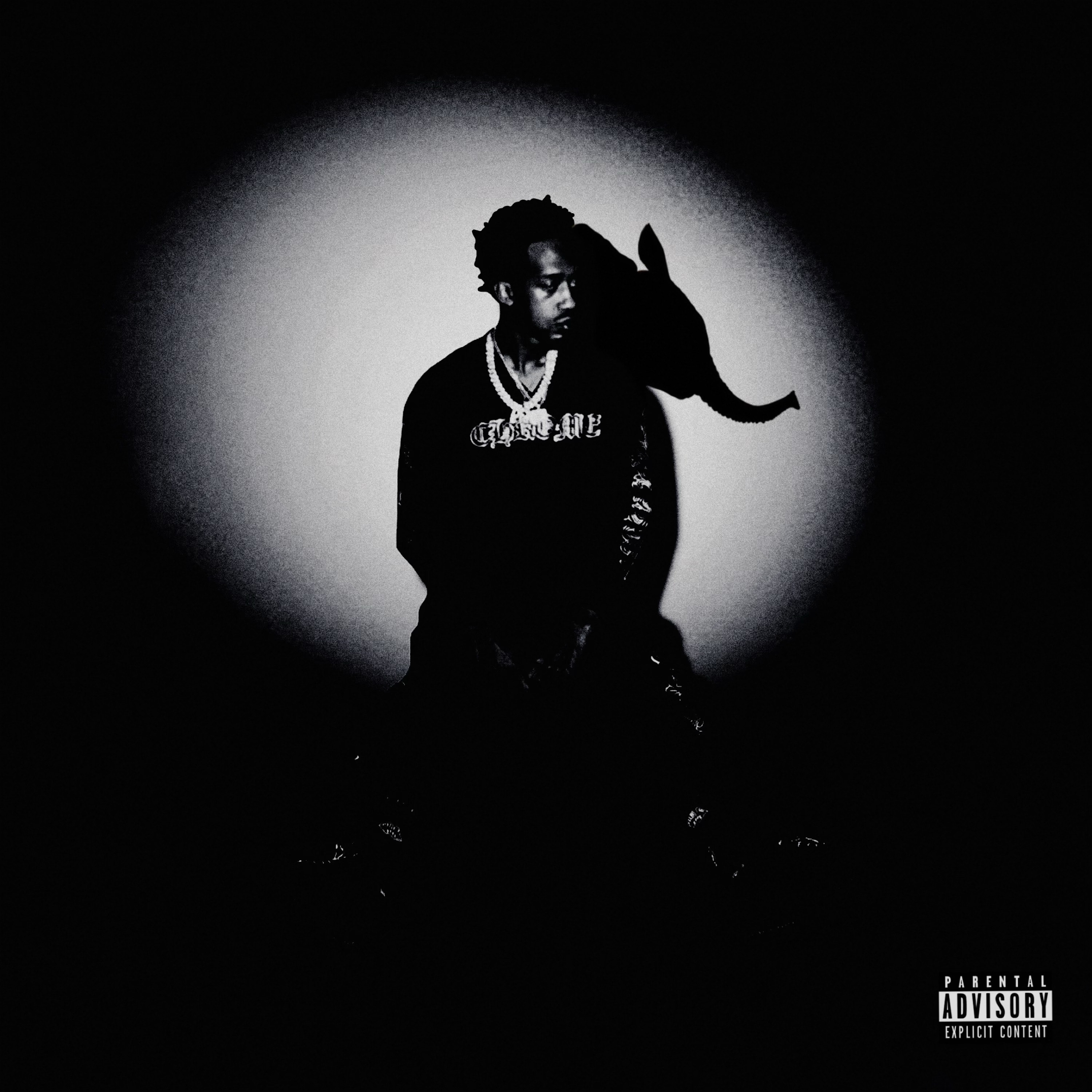100 Flow Shorty : Elephant Flow artwork