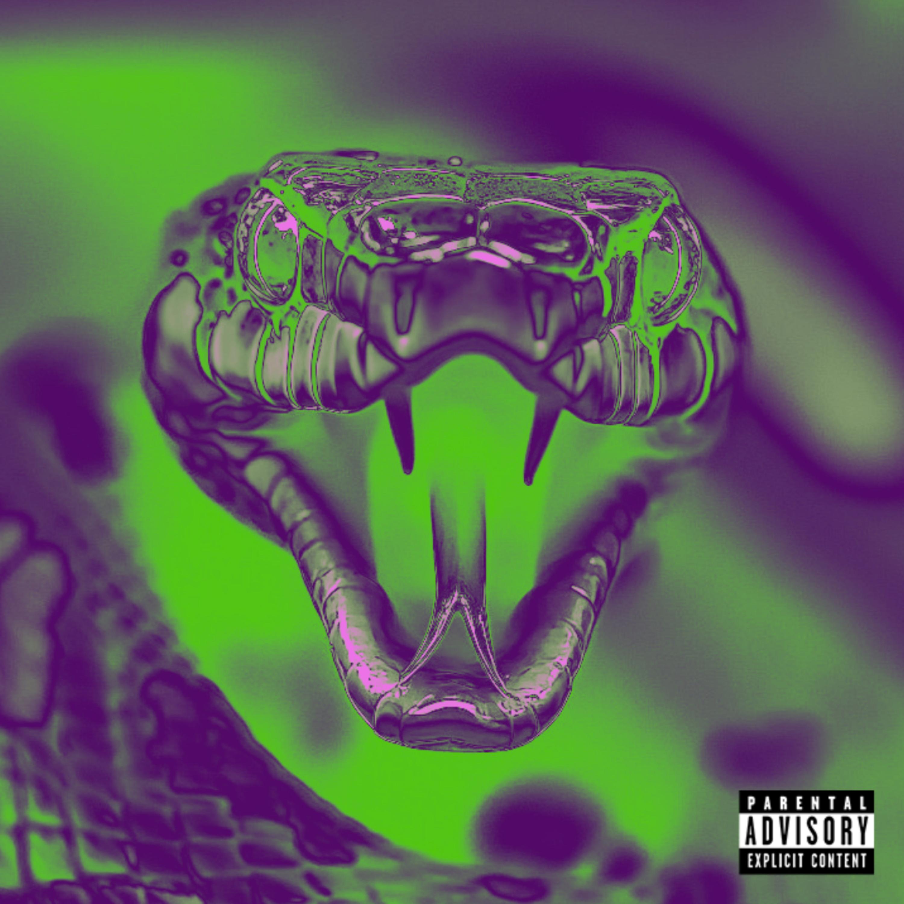 Snakes In The Grass artwork