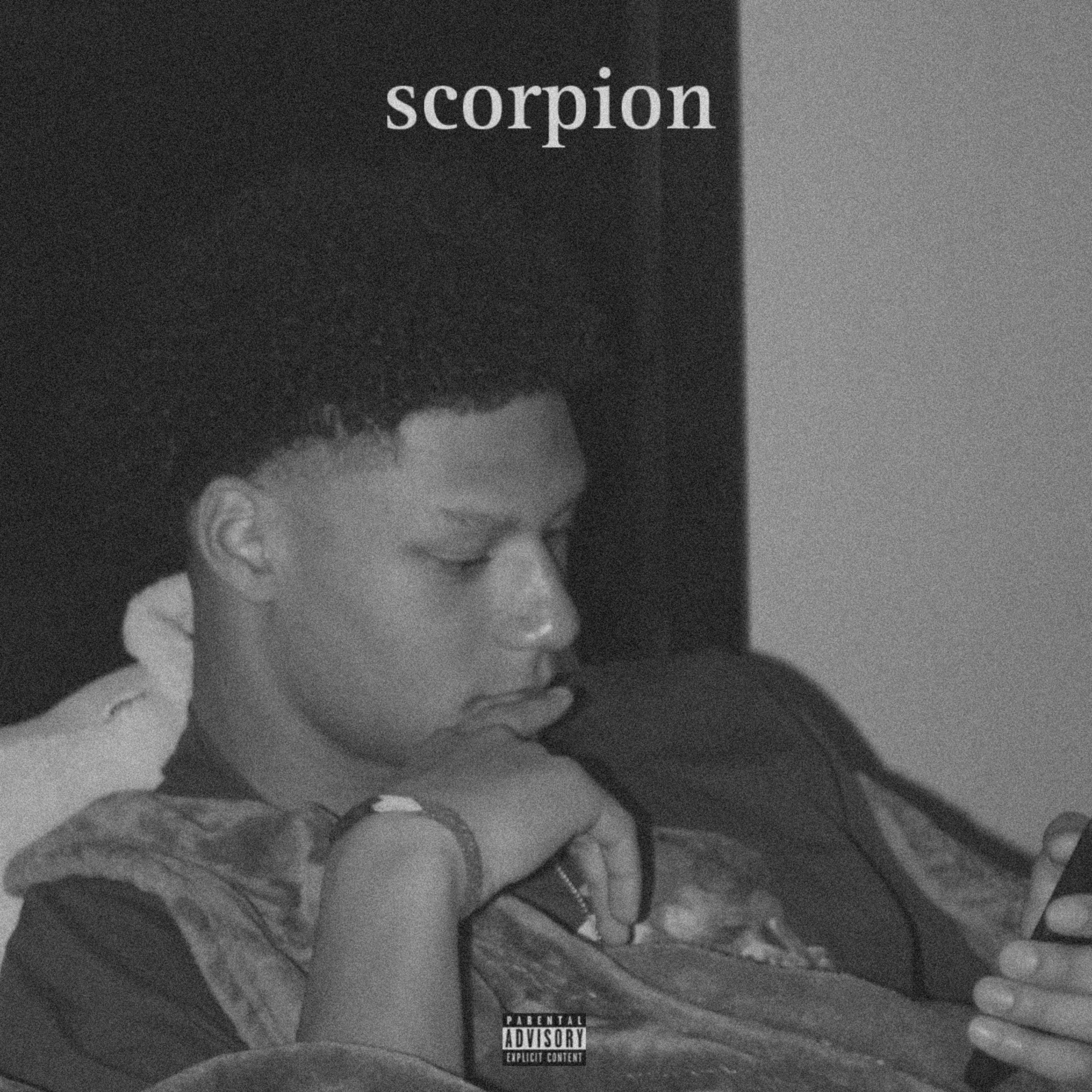 Scorpion artwork