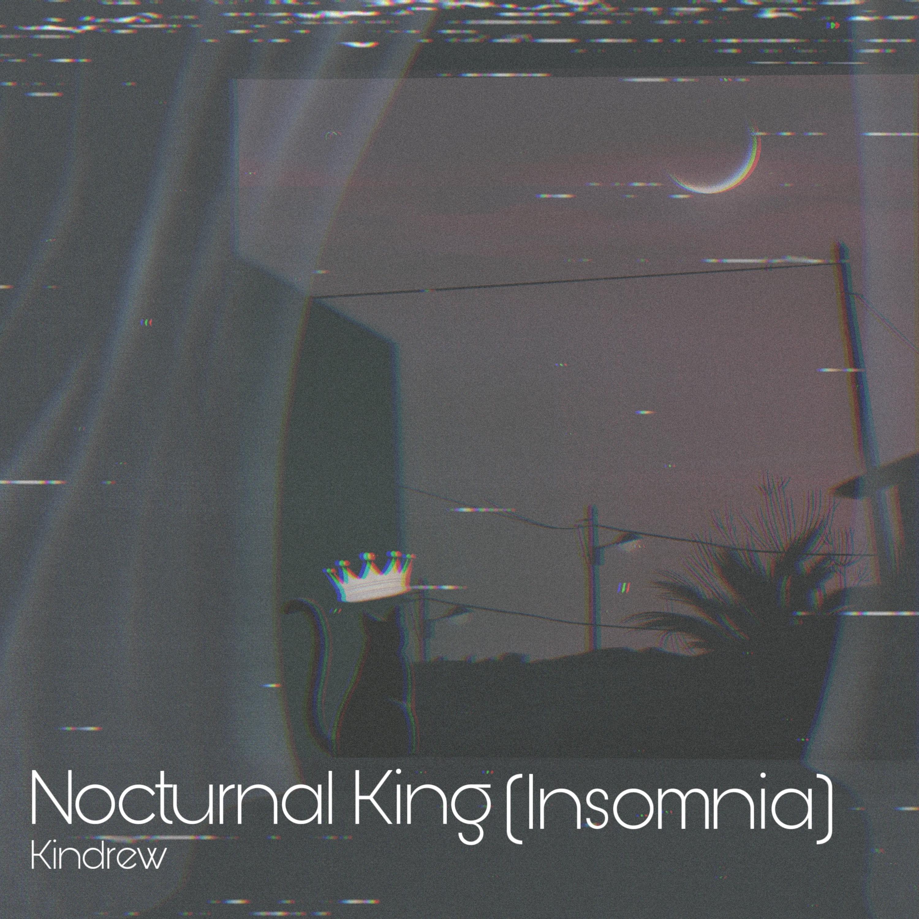 Nocturnal King (Insomnia) artwork
