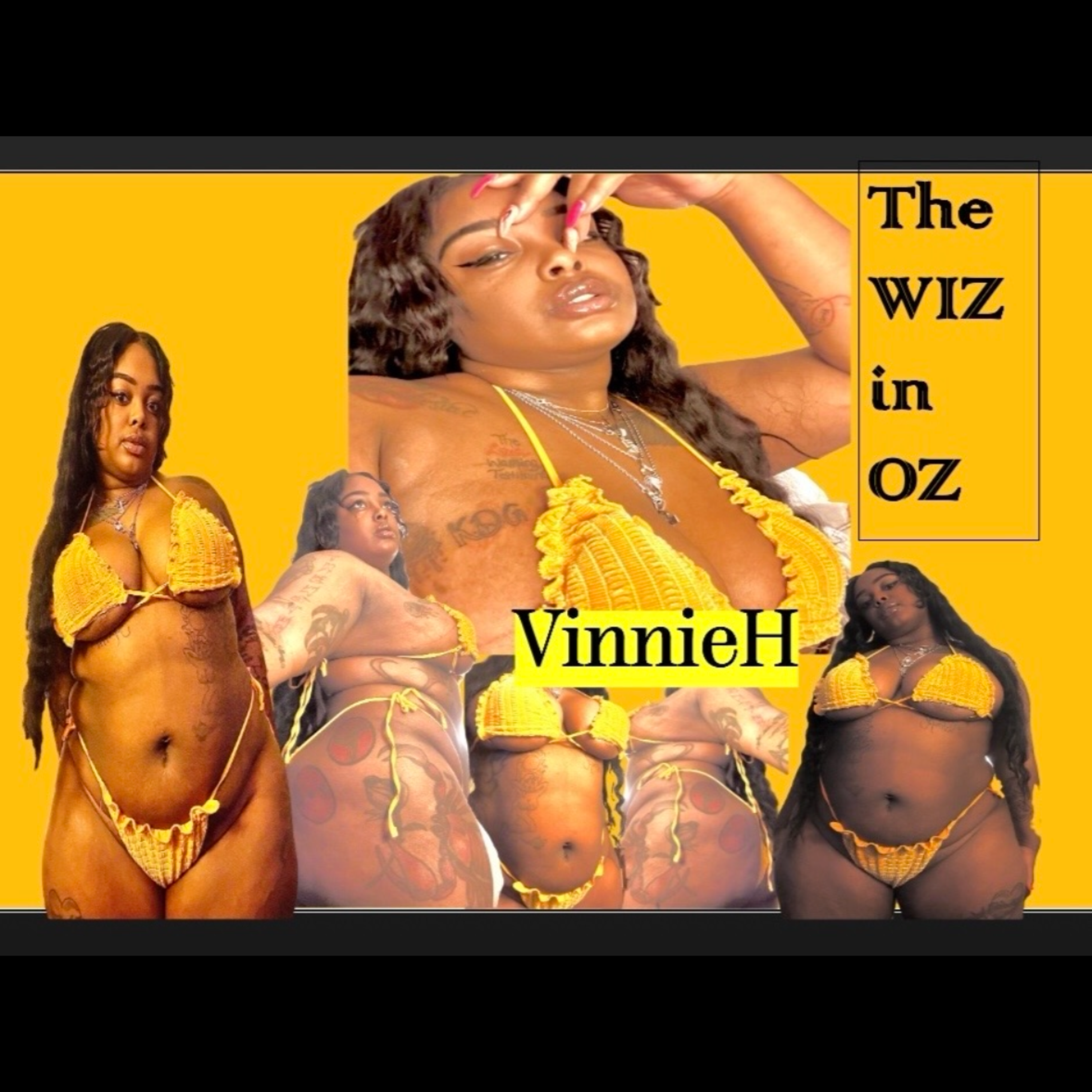 The WIZ In OZ artwork