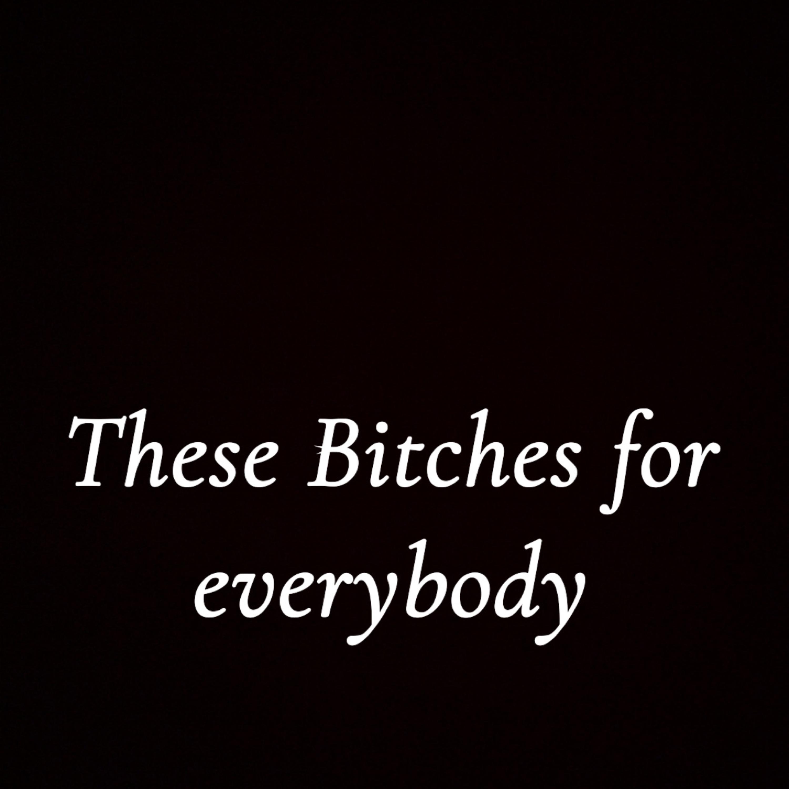 These Bitches For Everybody artwork