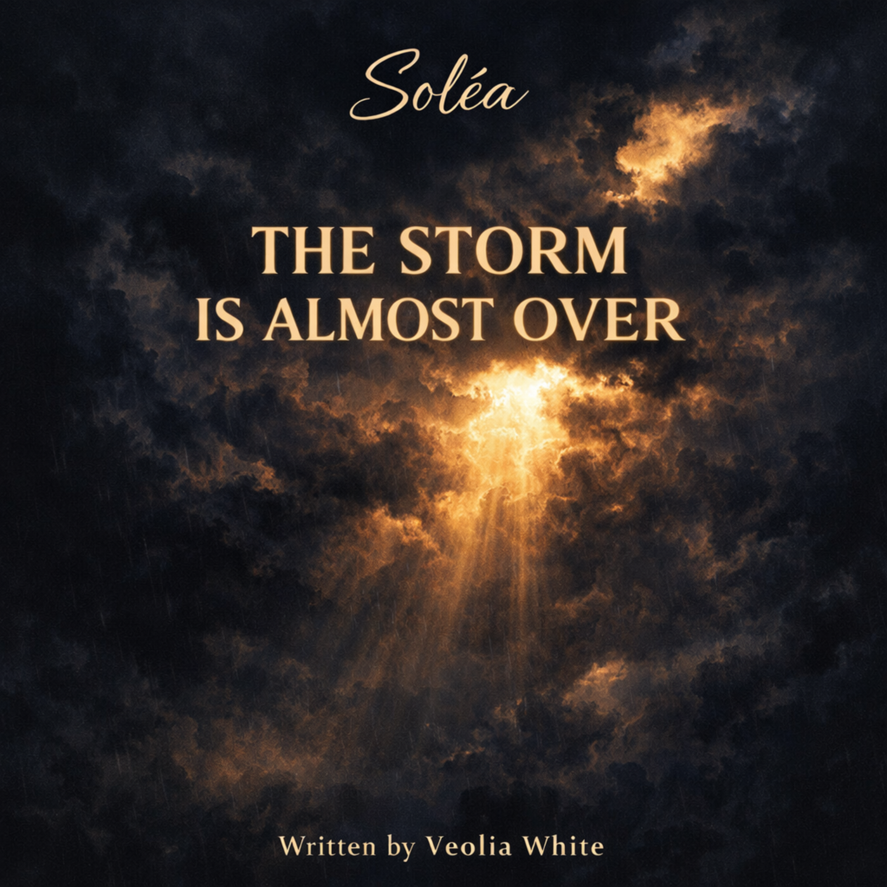 The Storm Is Almost Over artwork