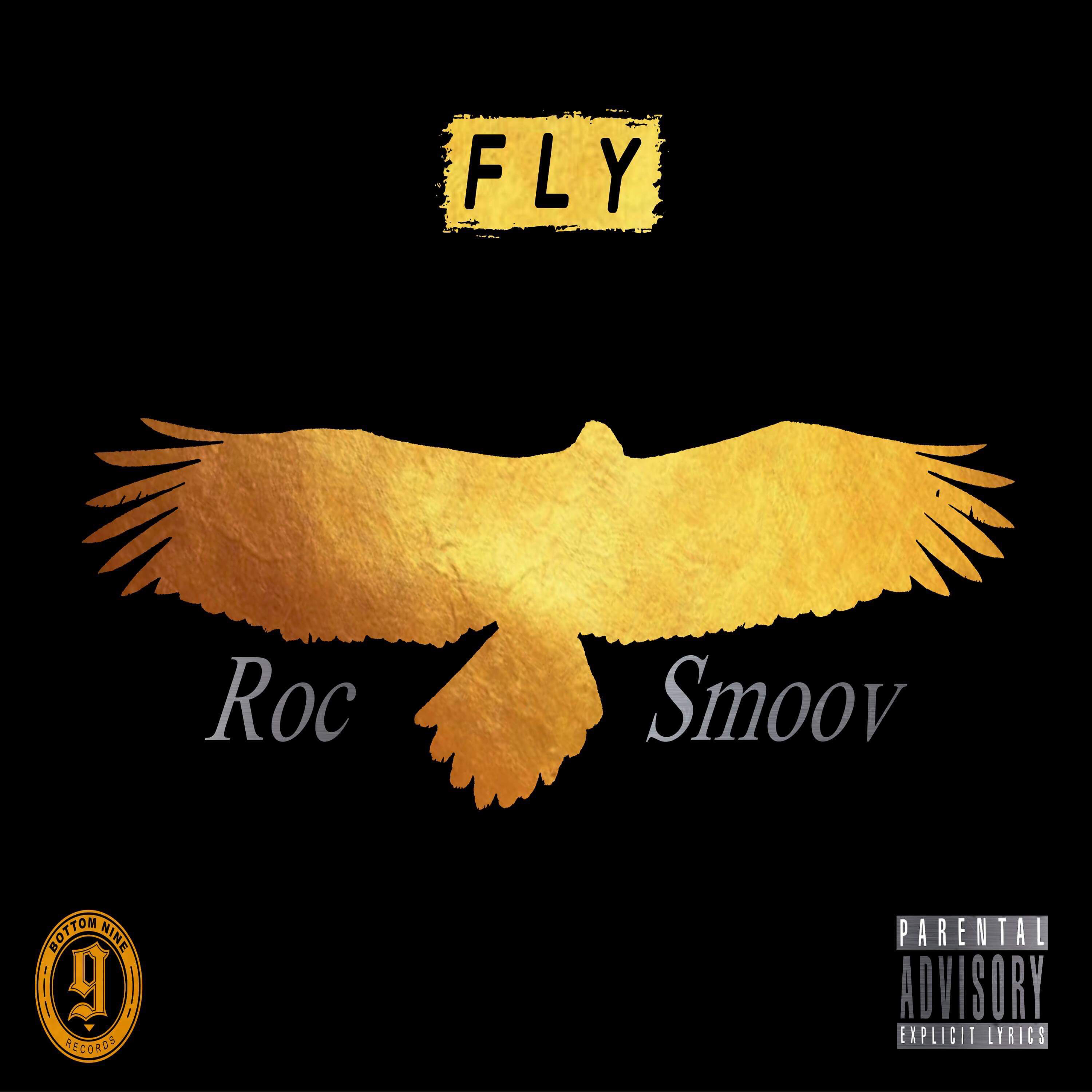 Fly artwork