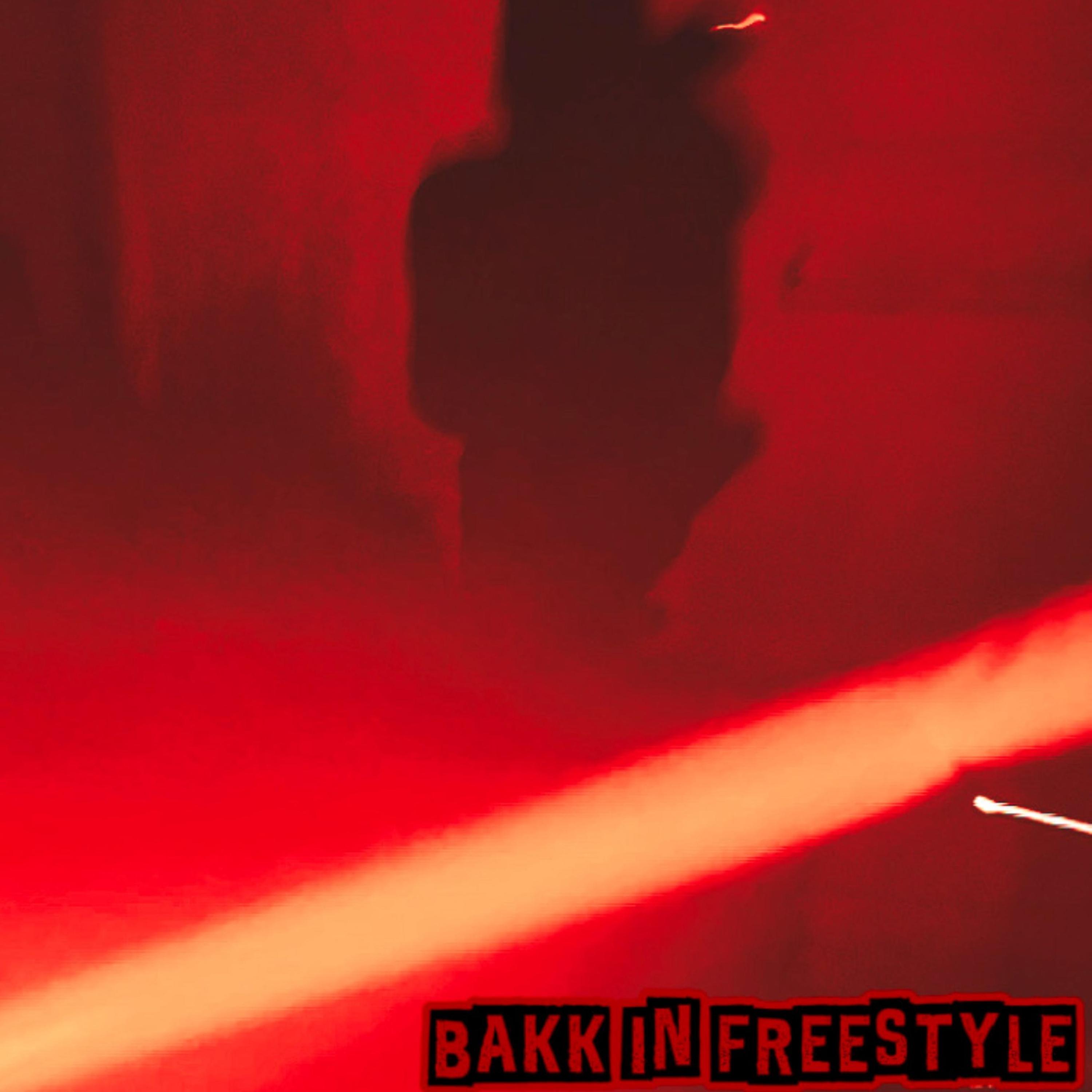 BAKK IN (FREESTYLE) artwork