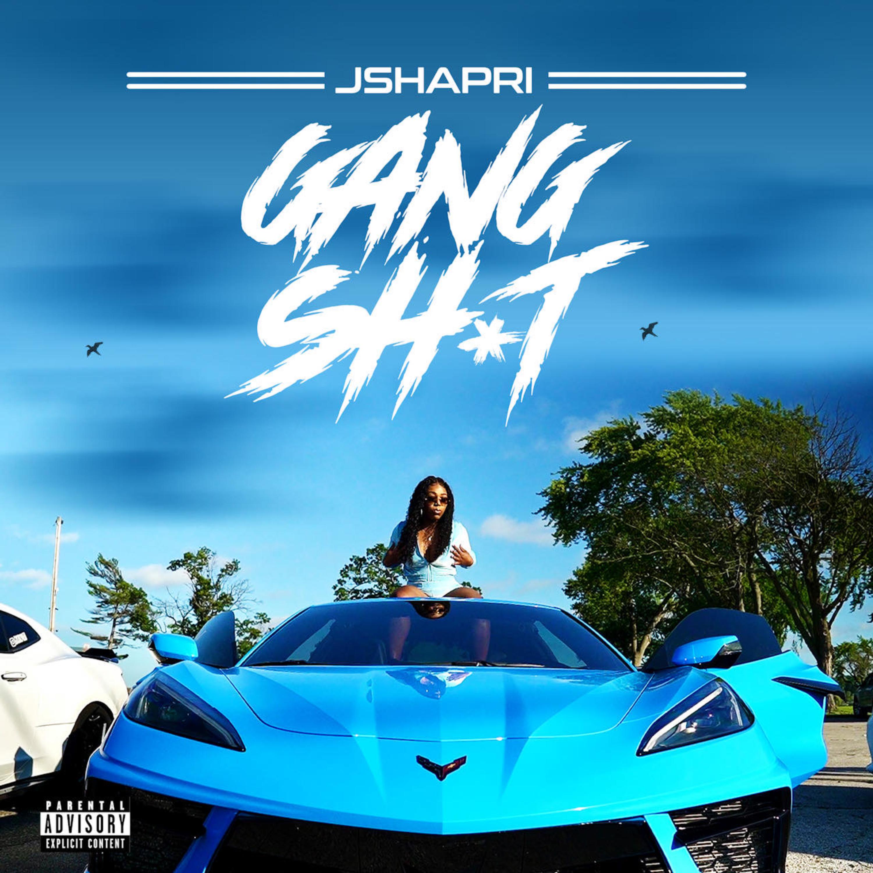 Gang Shit artwork