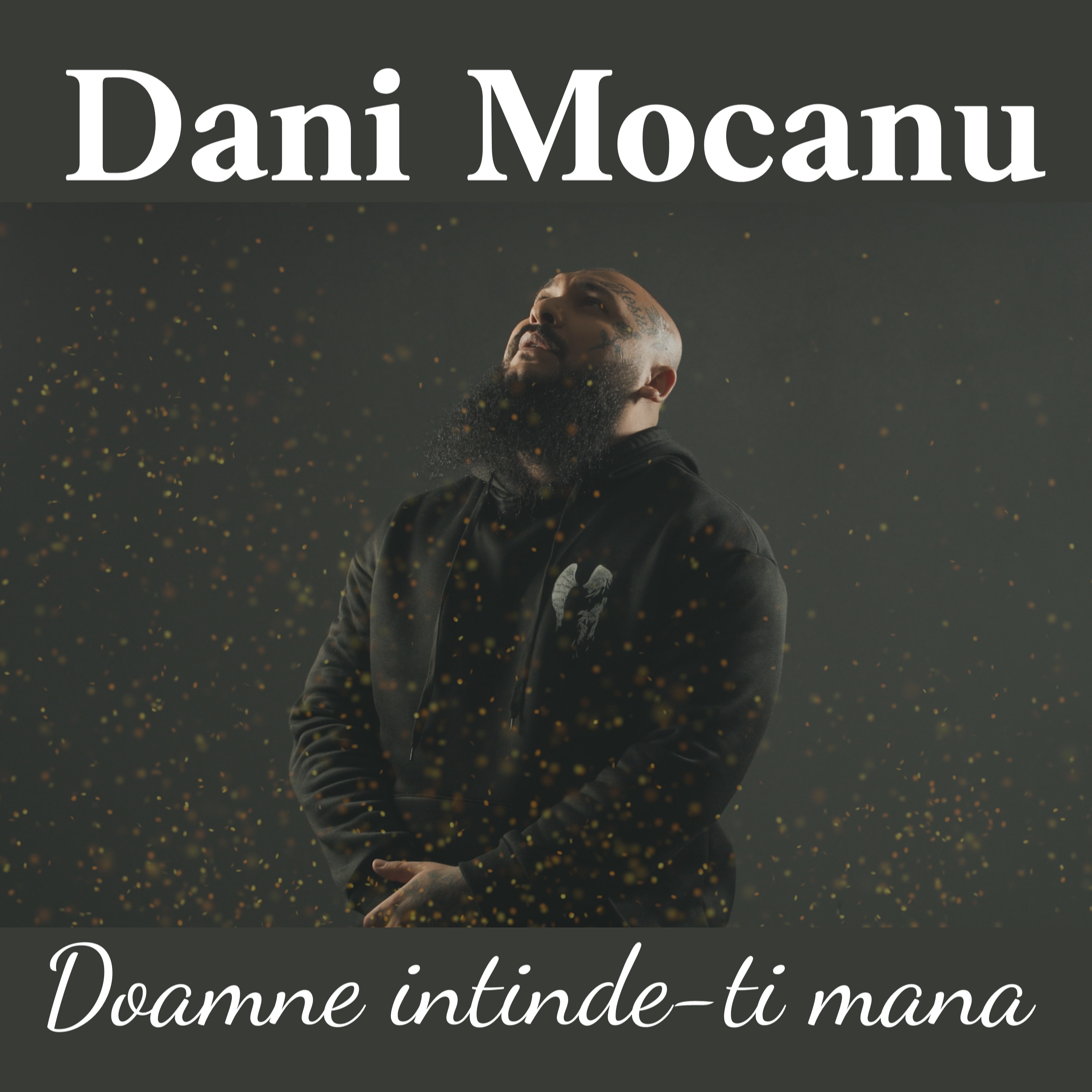 Doamne intinde-ti mana artwork