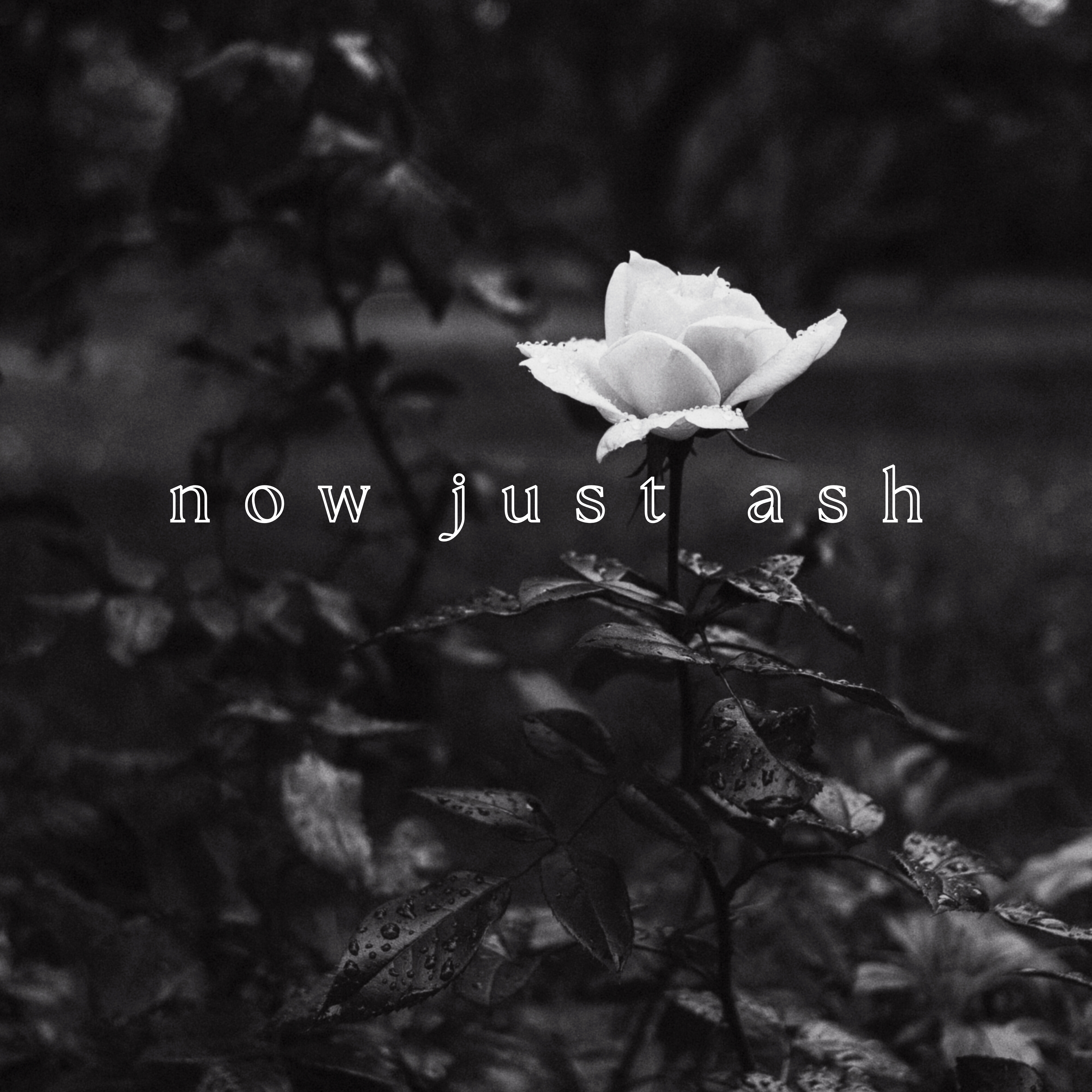now just ash artwork