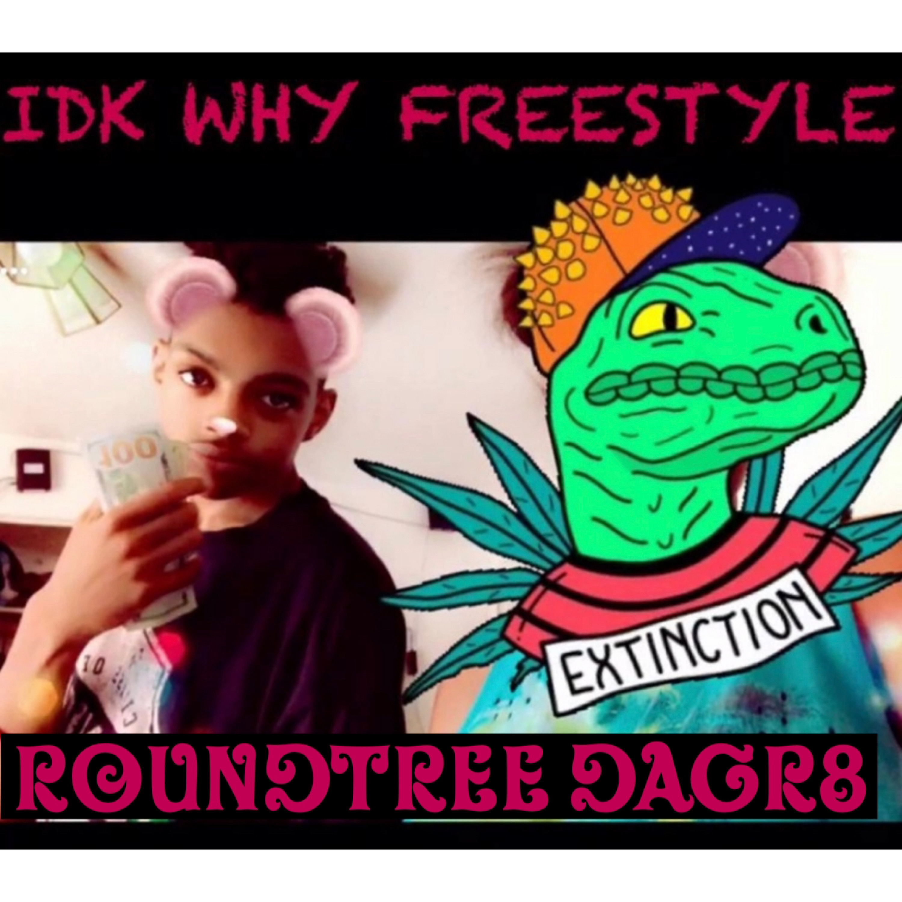IDK Why Freestyle by Roundtree DaGr8 cover art