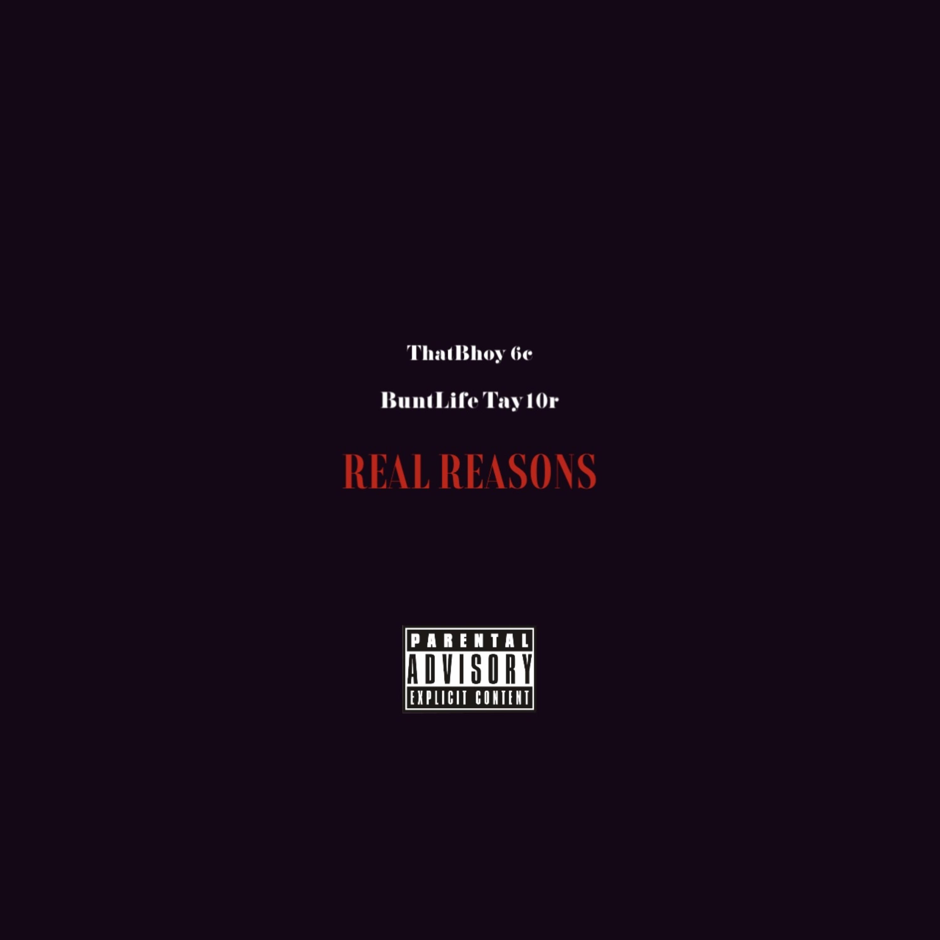 Real Reasons artwork