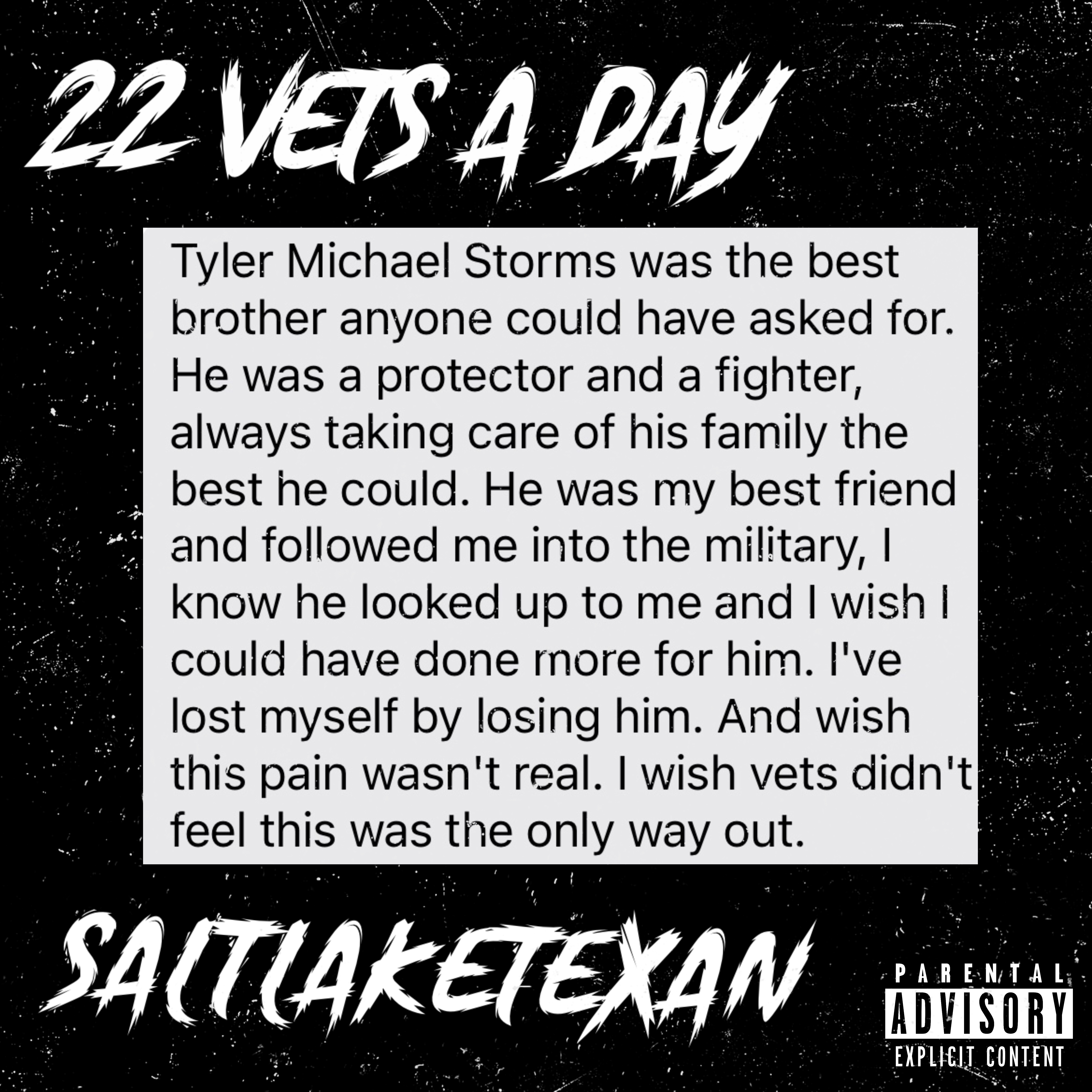 22 Vets A Day artwork