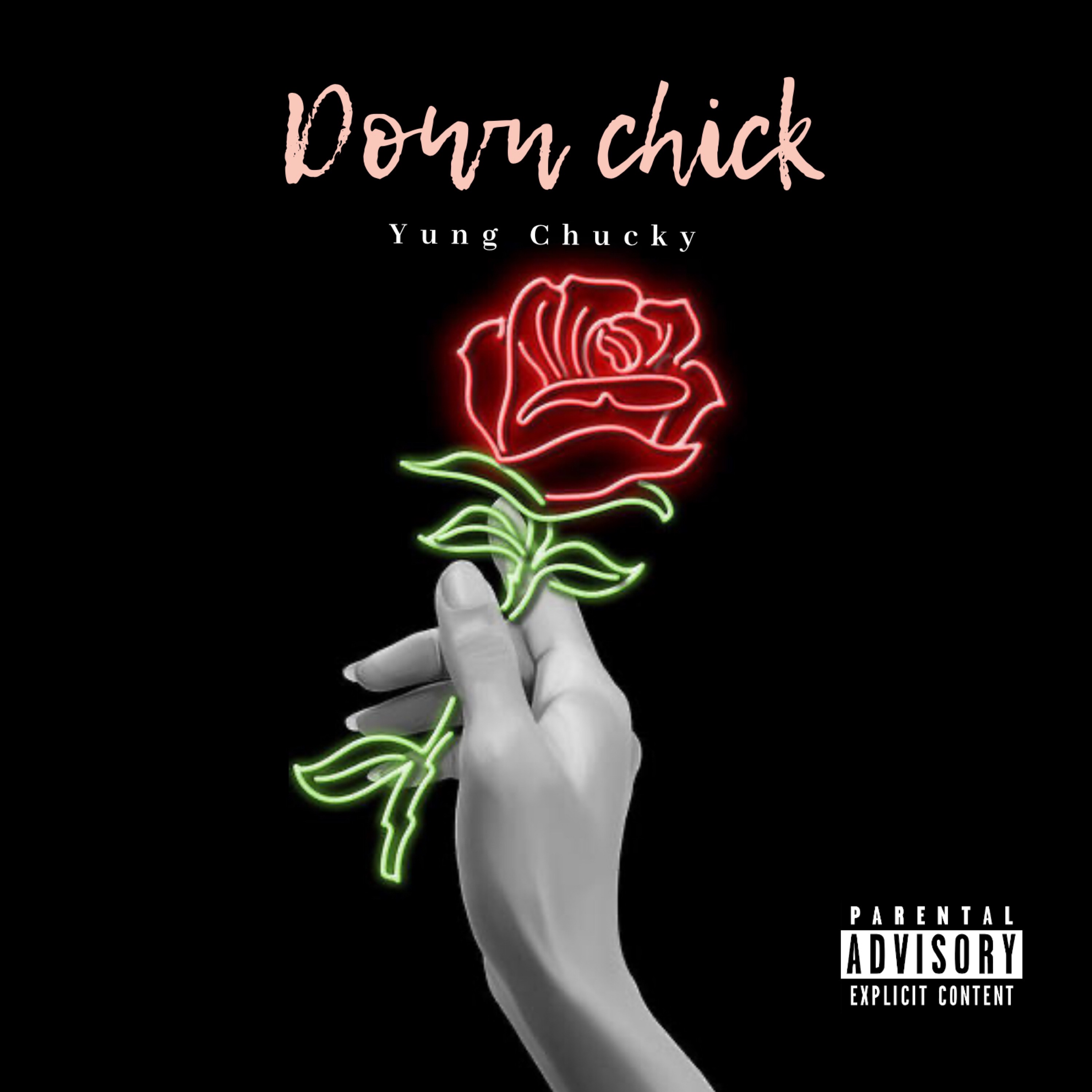 Down chick artwork