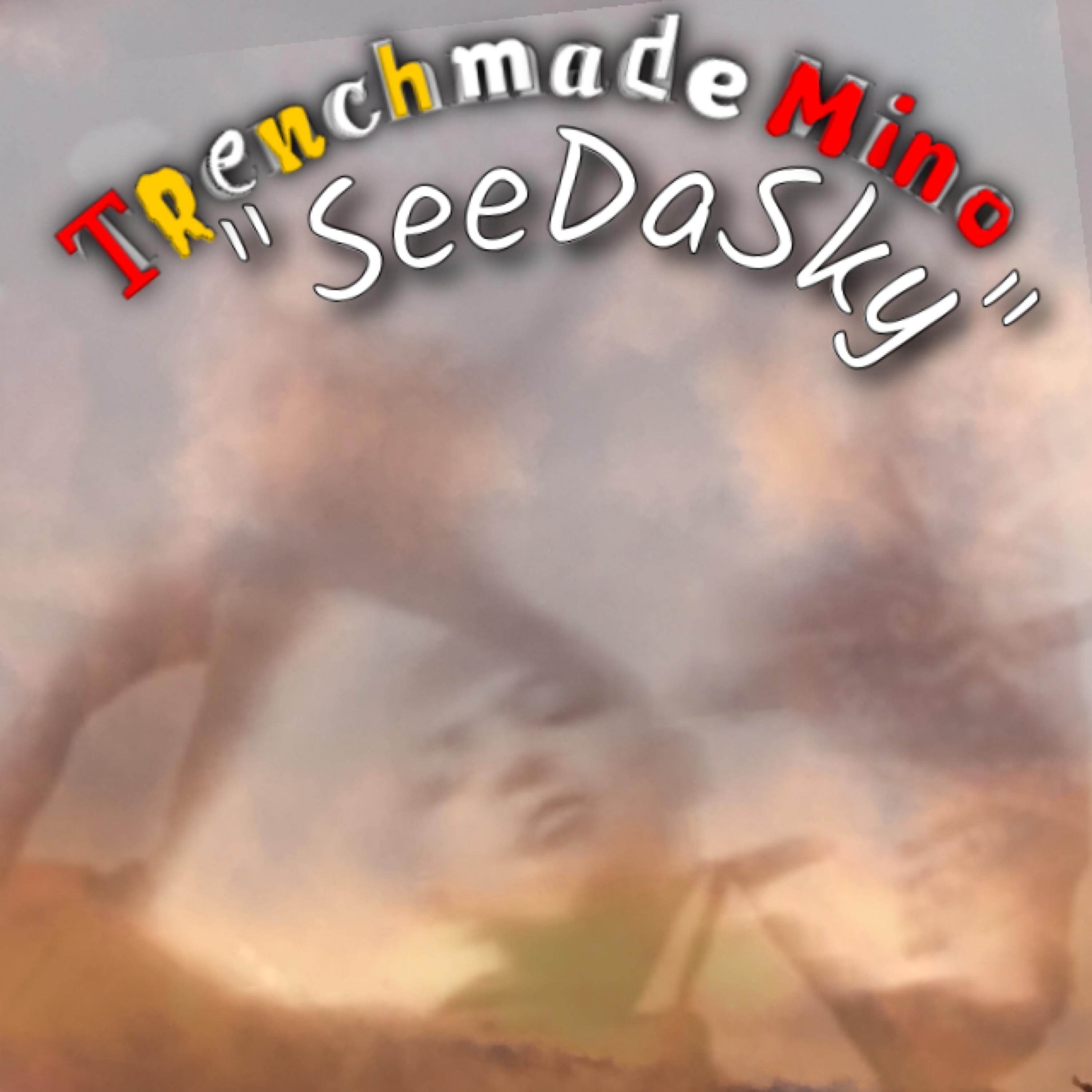 SeeDaSky artwork