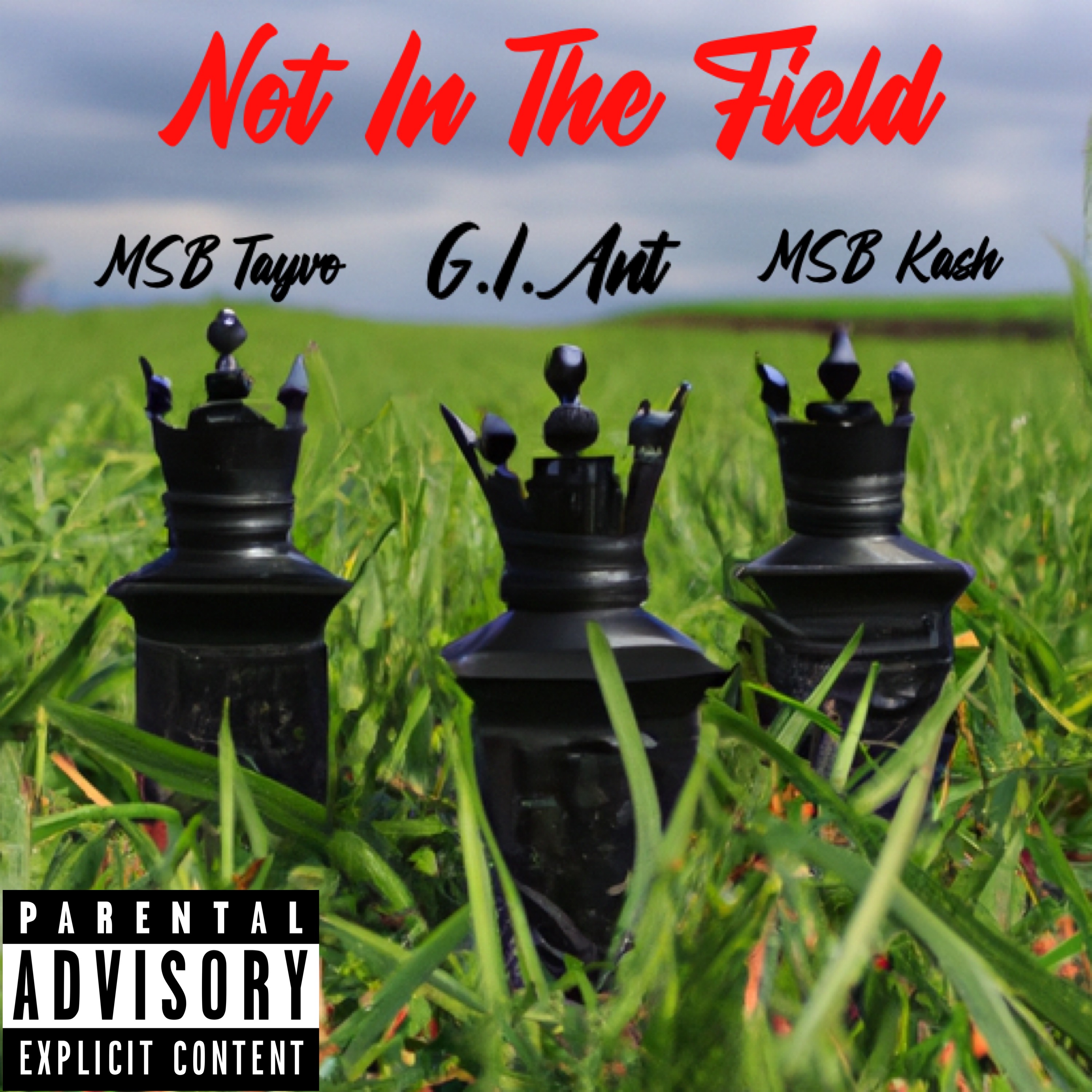 Not In The Field artwork