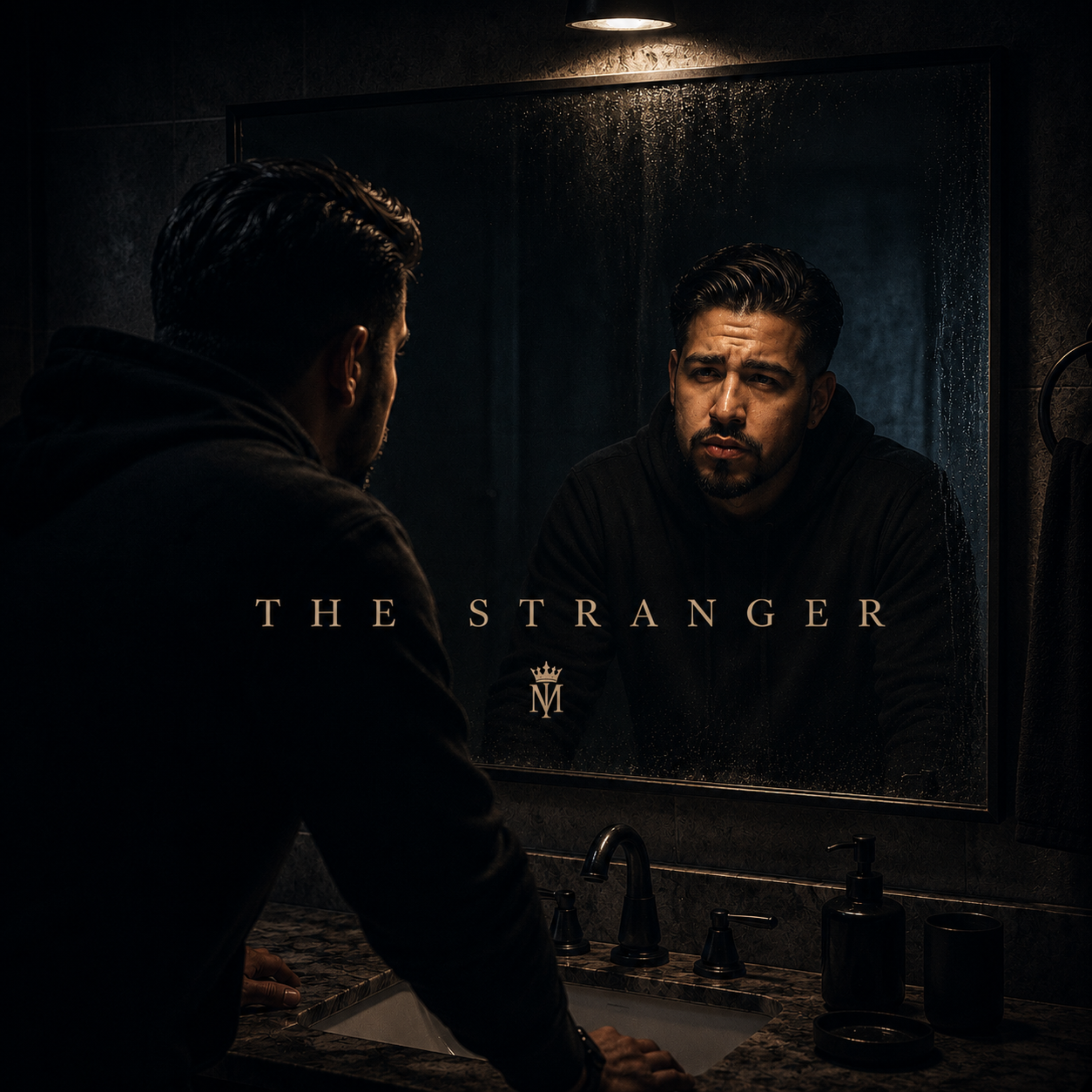 The Stranger by Decypha cover art