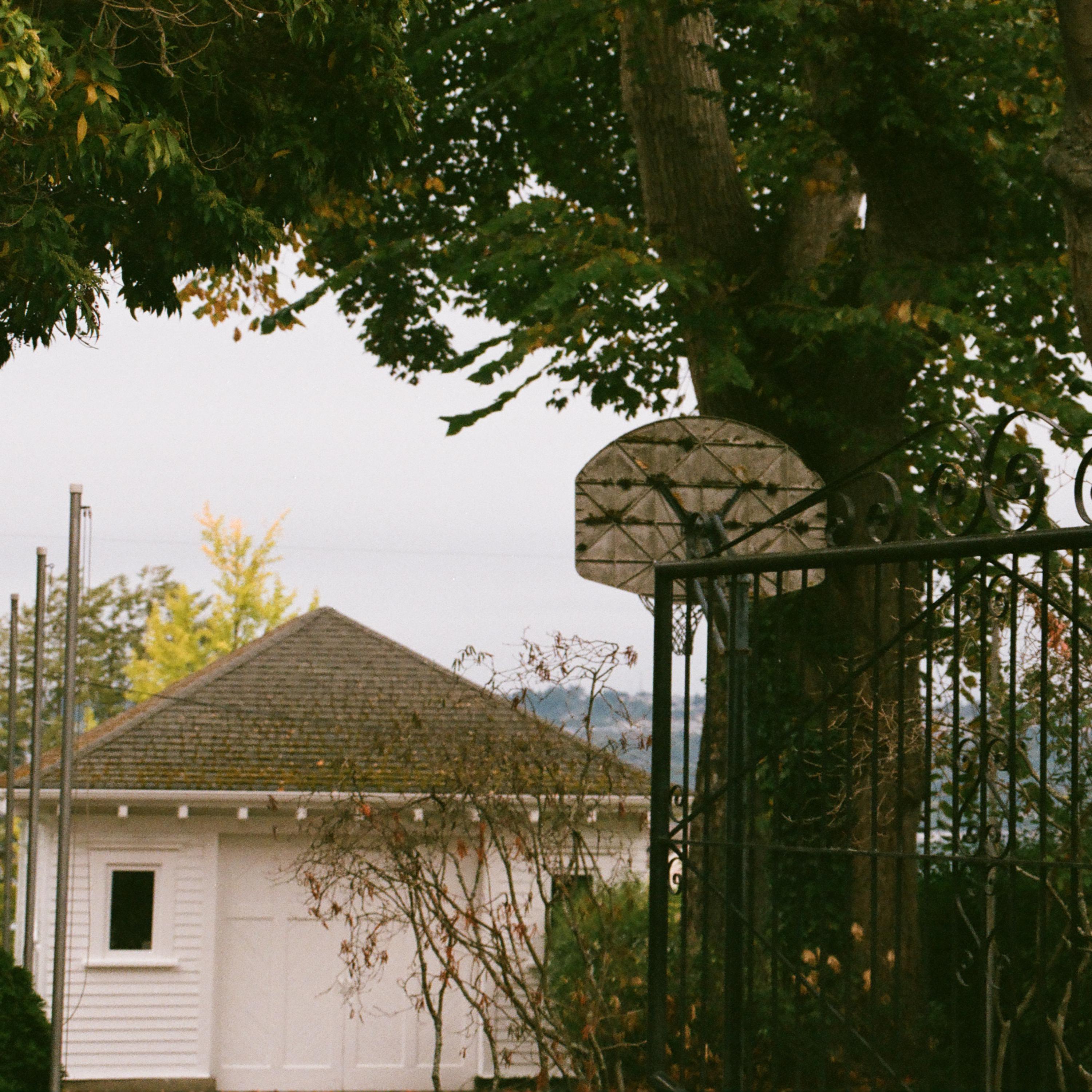 THIZZ CASTLE artwork