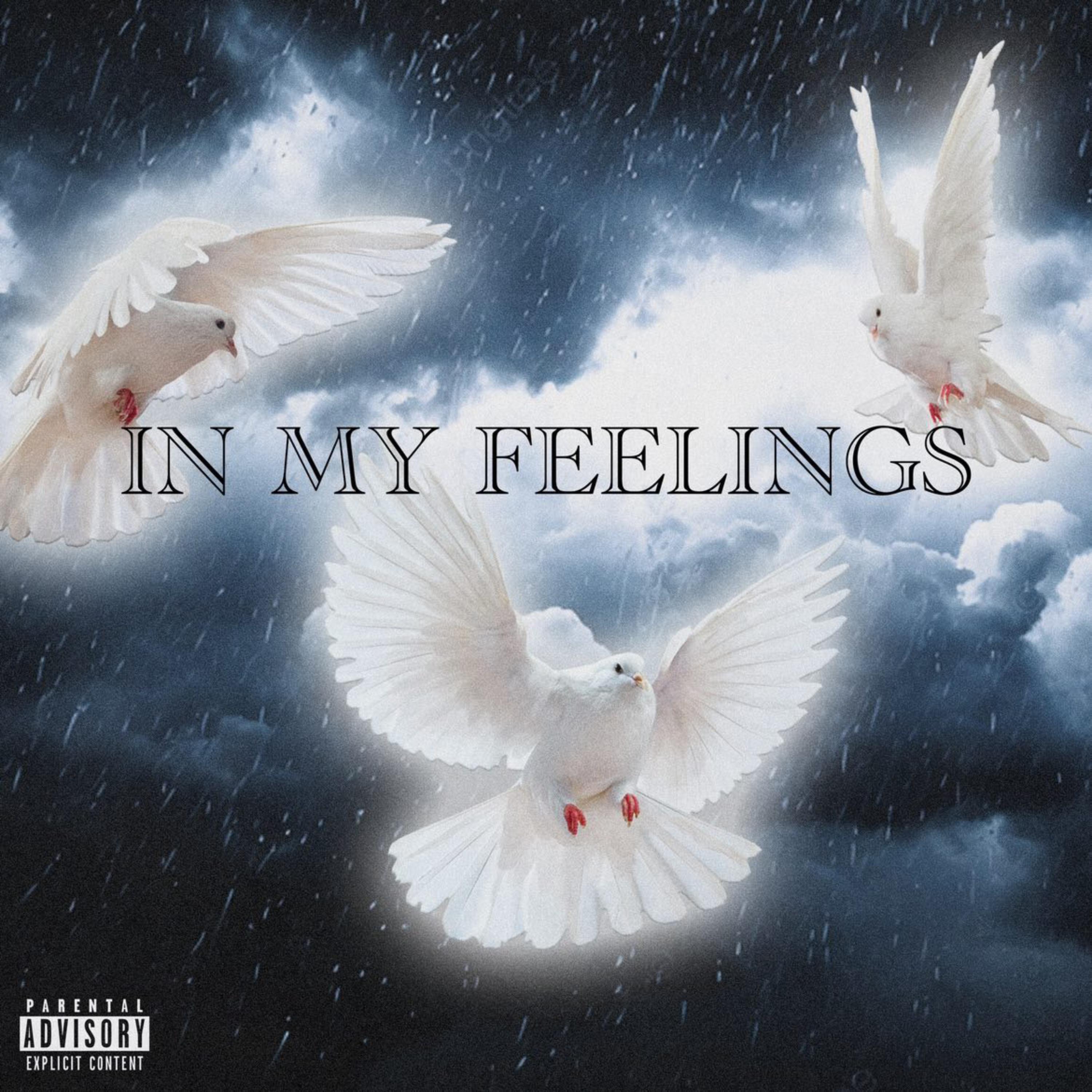 In My Feelings artwork