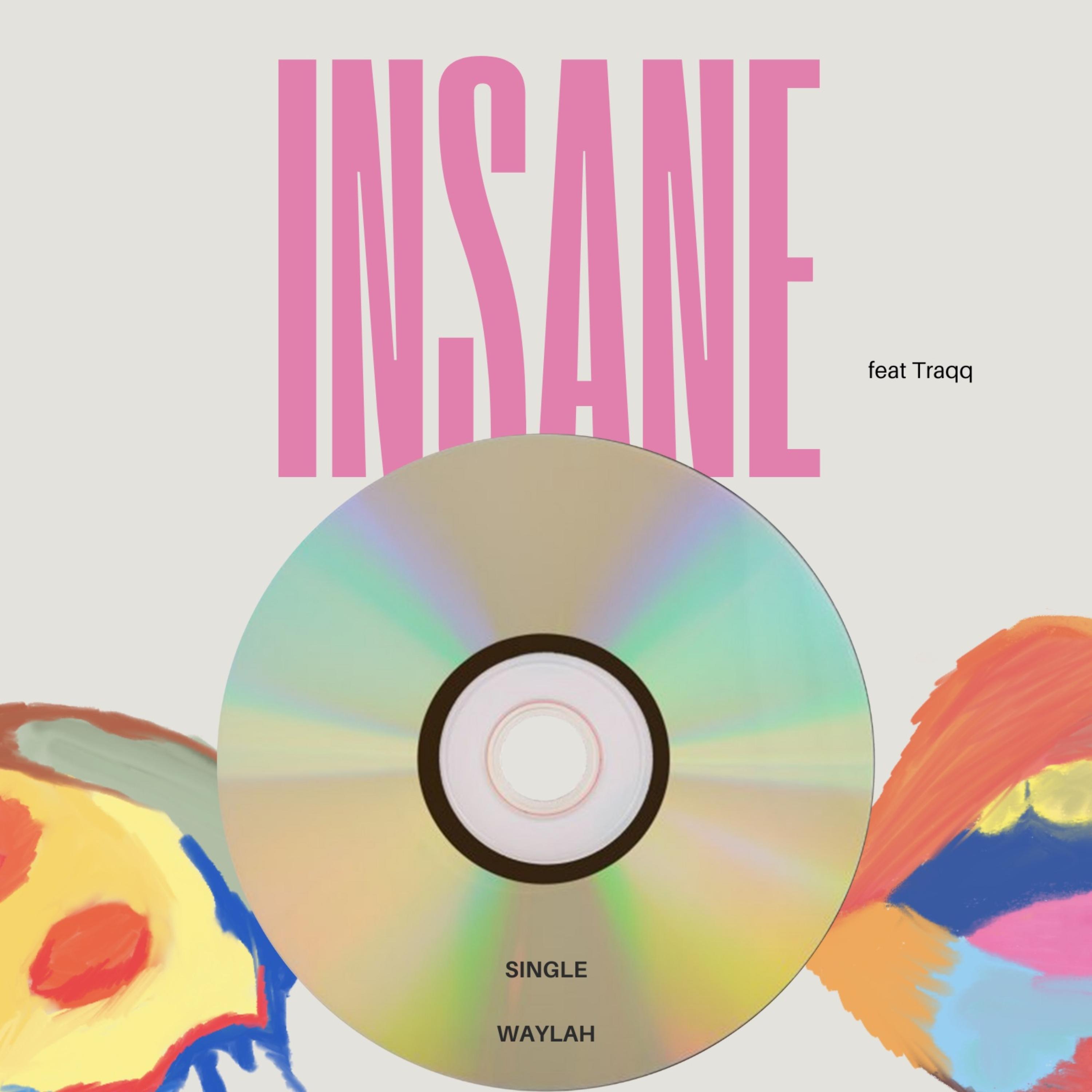 Insane 2 artwork