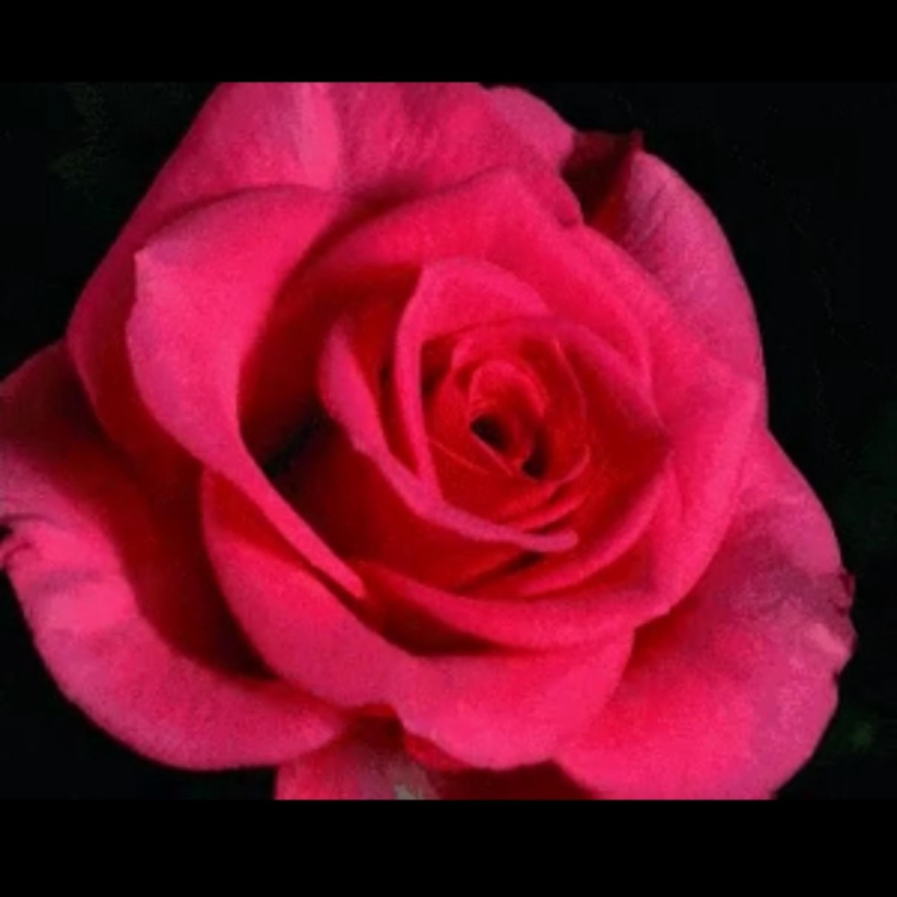 Tell me what you wanna  artwork