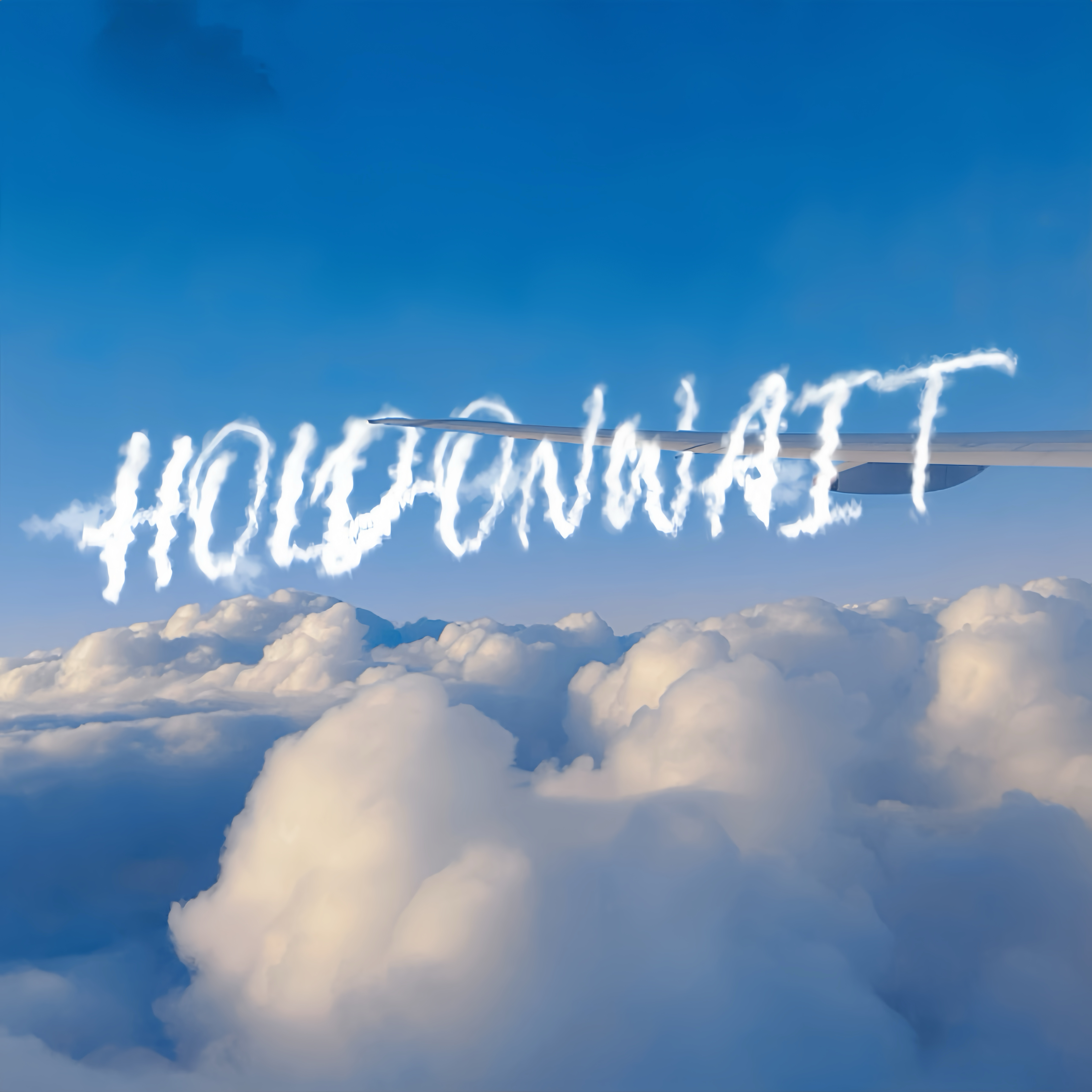 Hold On Wait artwork
