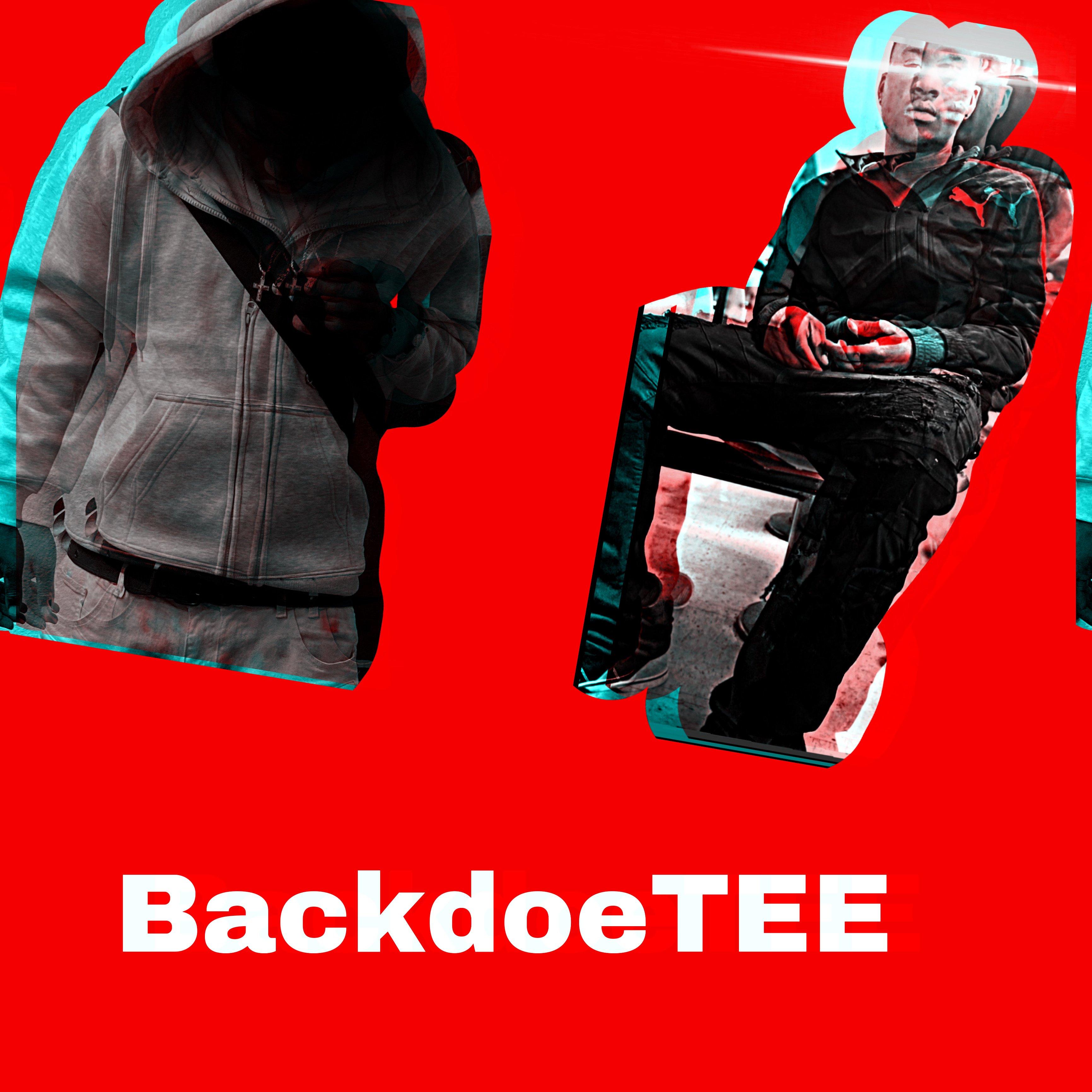 Backdoes Hits artwork