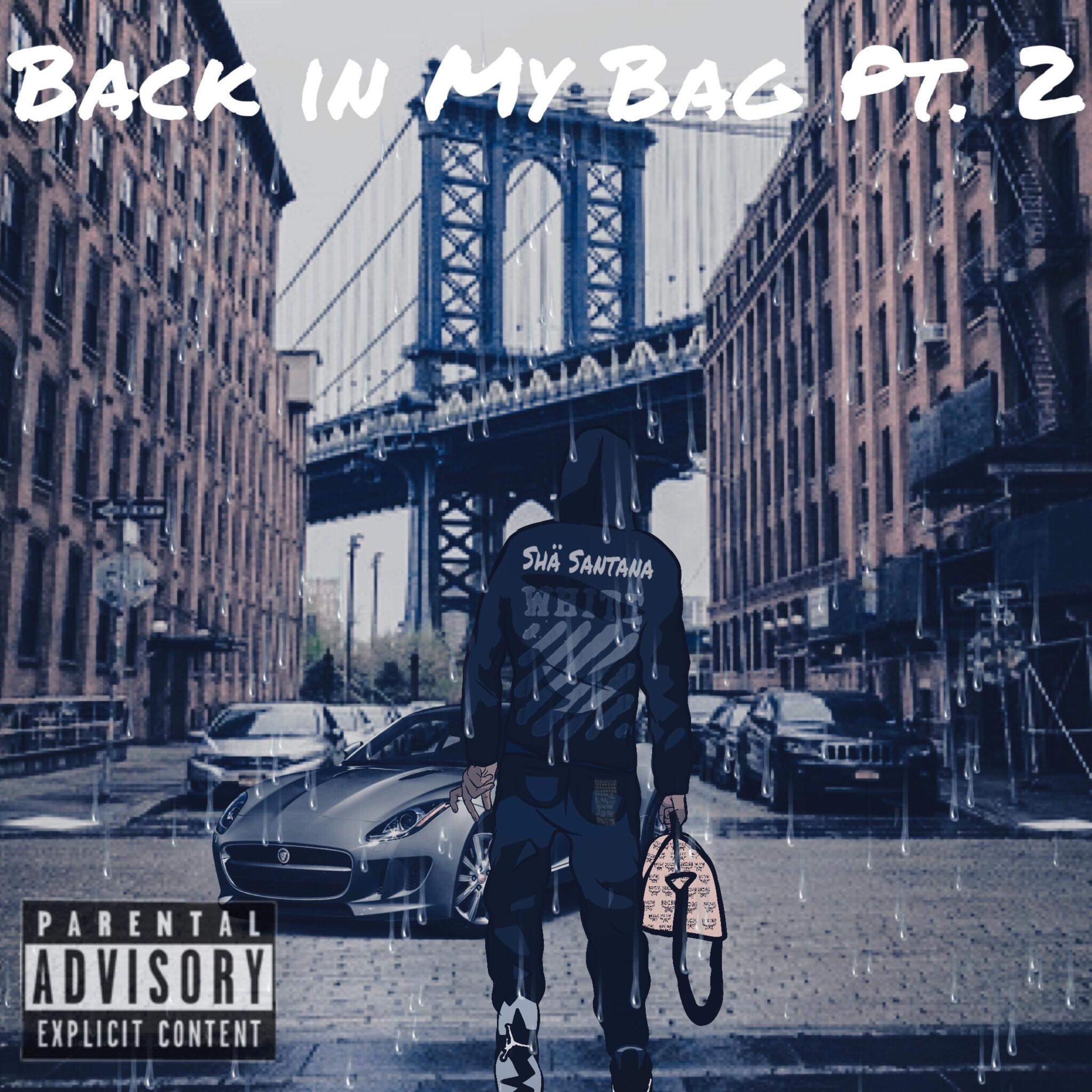 Bacc in my bag part 2 artwork