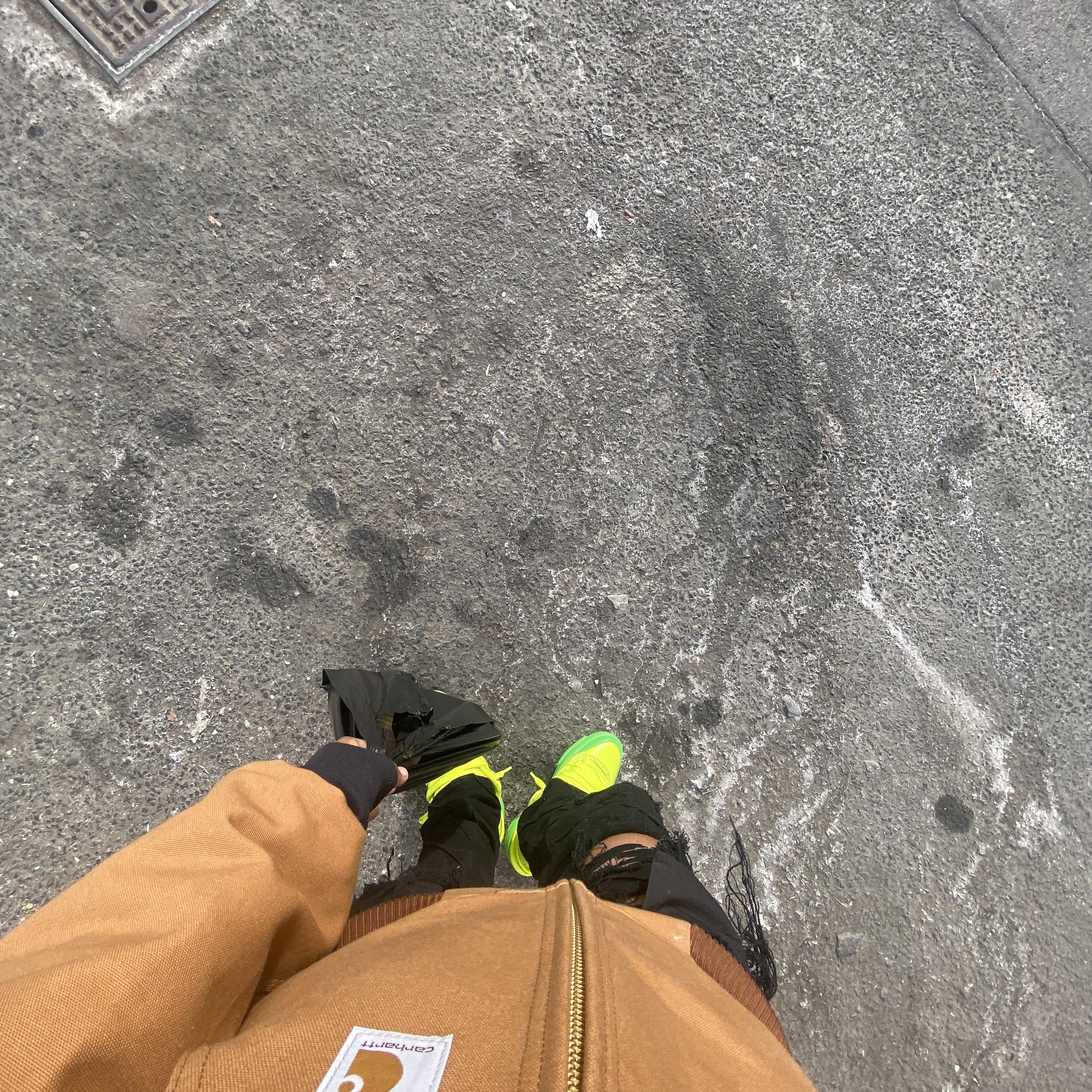 TOTS Freestyle artwork