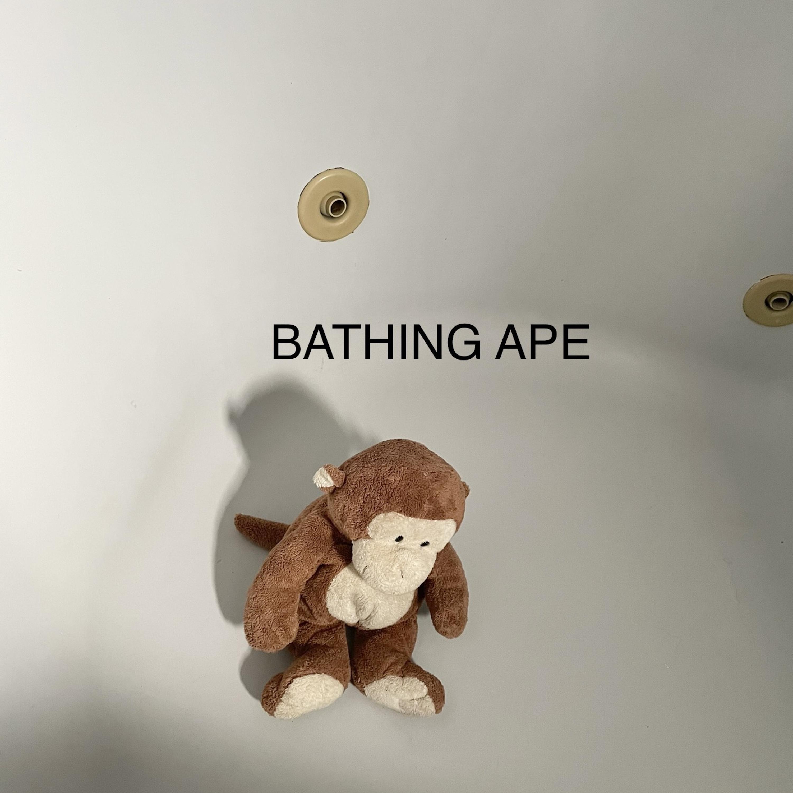 Bathing Ape artwork