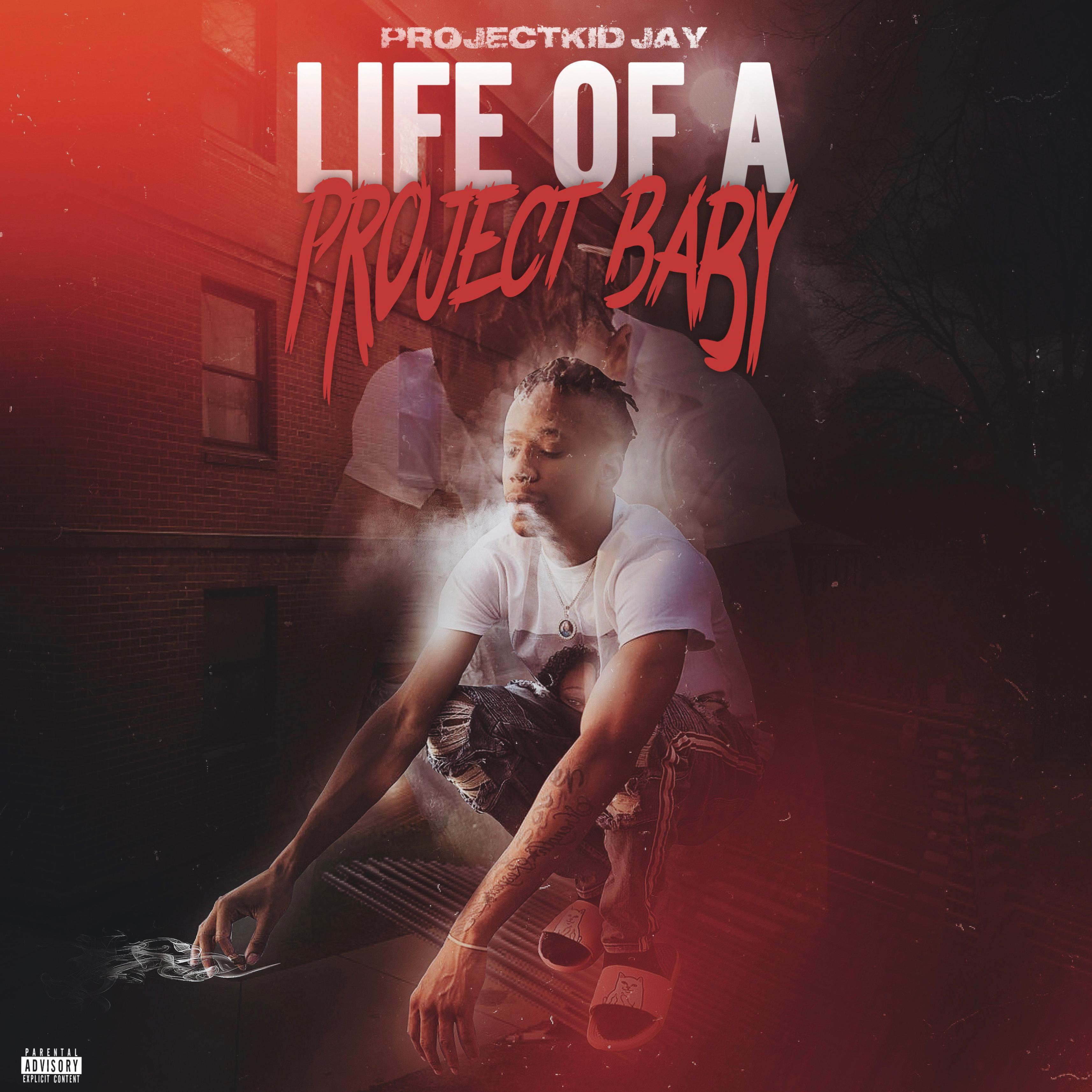 Life Of A ProjectBaby artwork