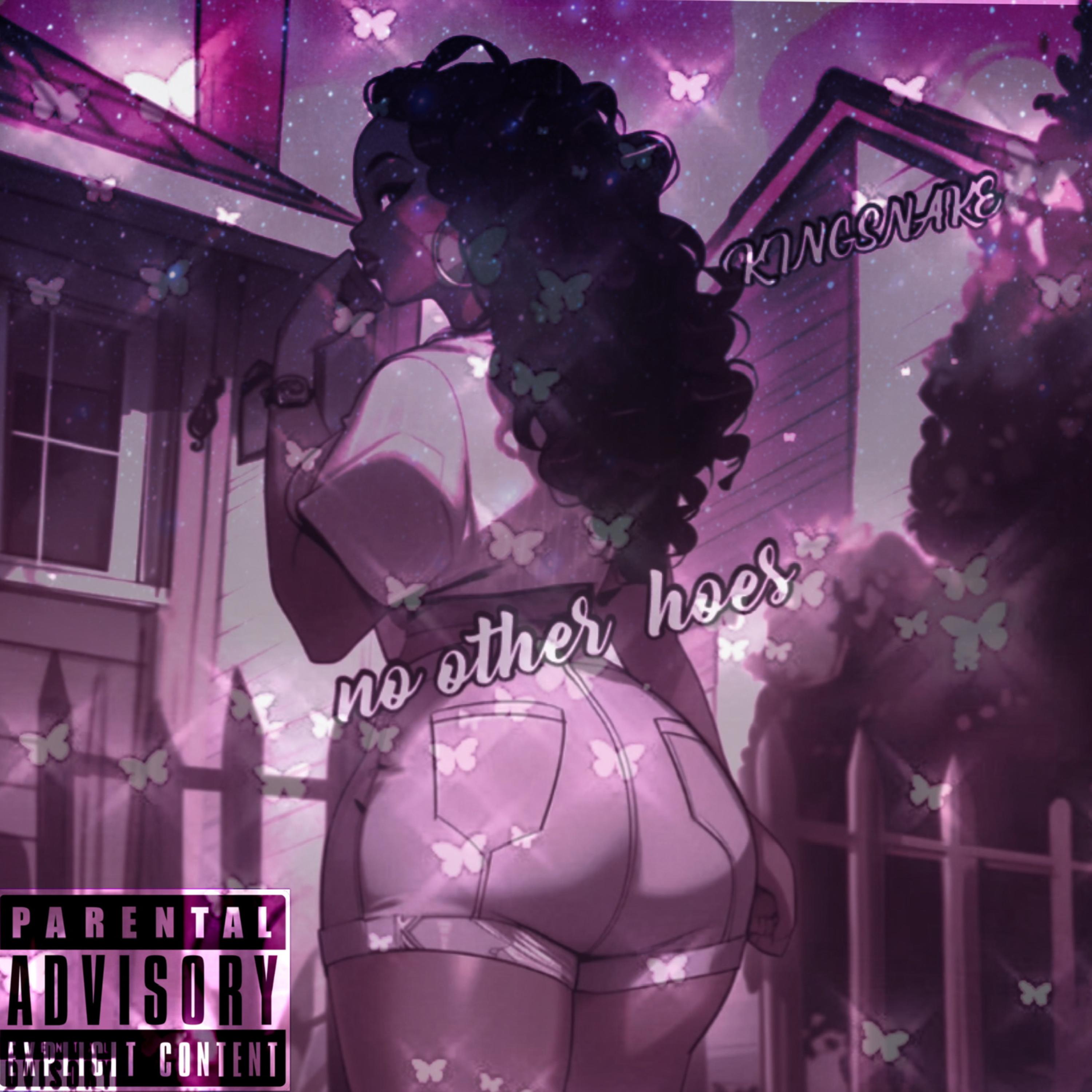 OTHER HOES artwork