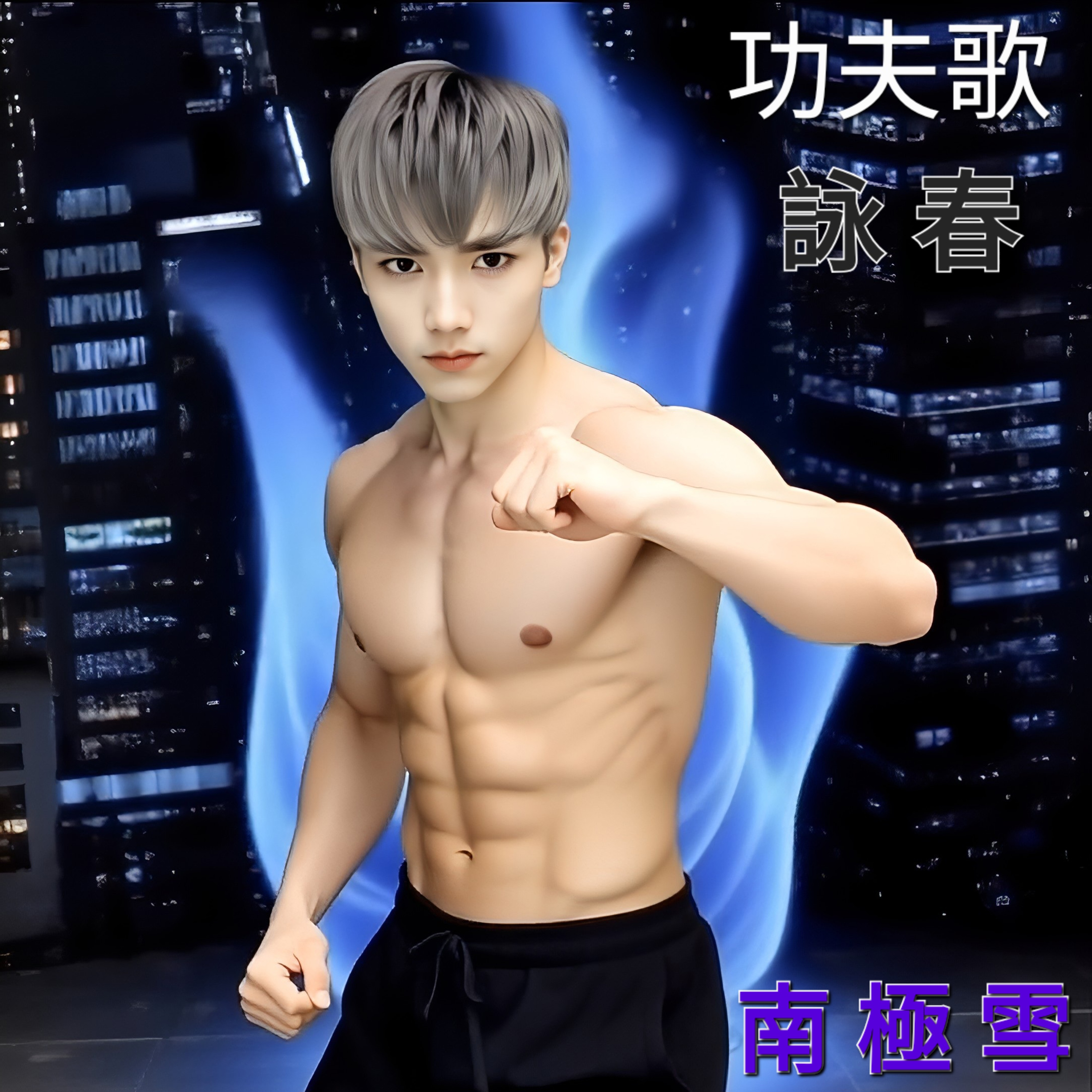 功夫歌 詠春 by 南極雪 cover art