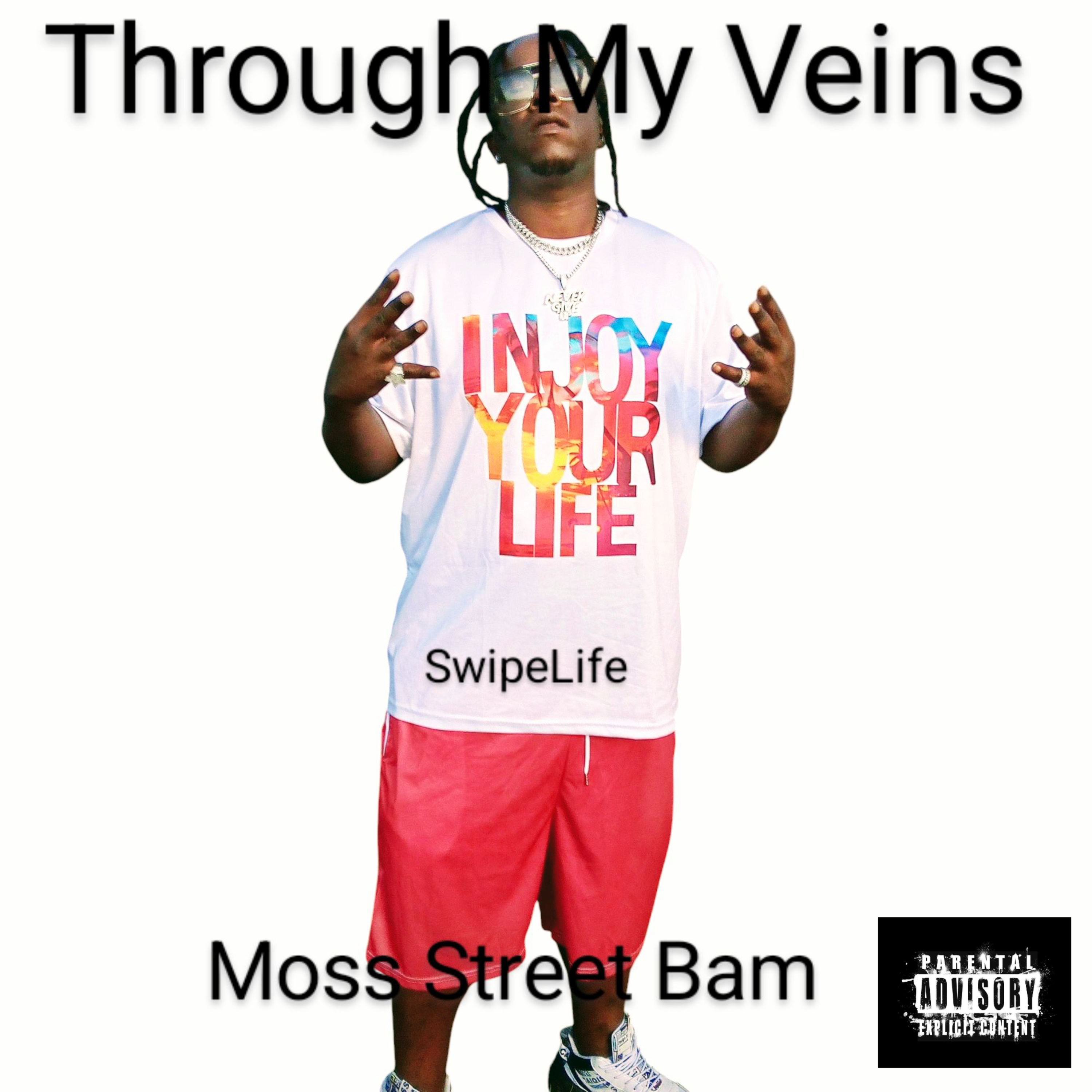 Through My Veins artwork