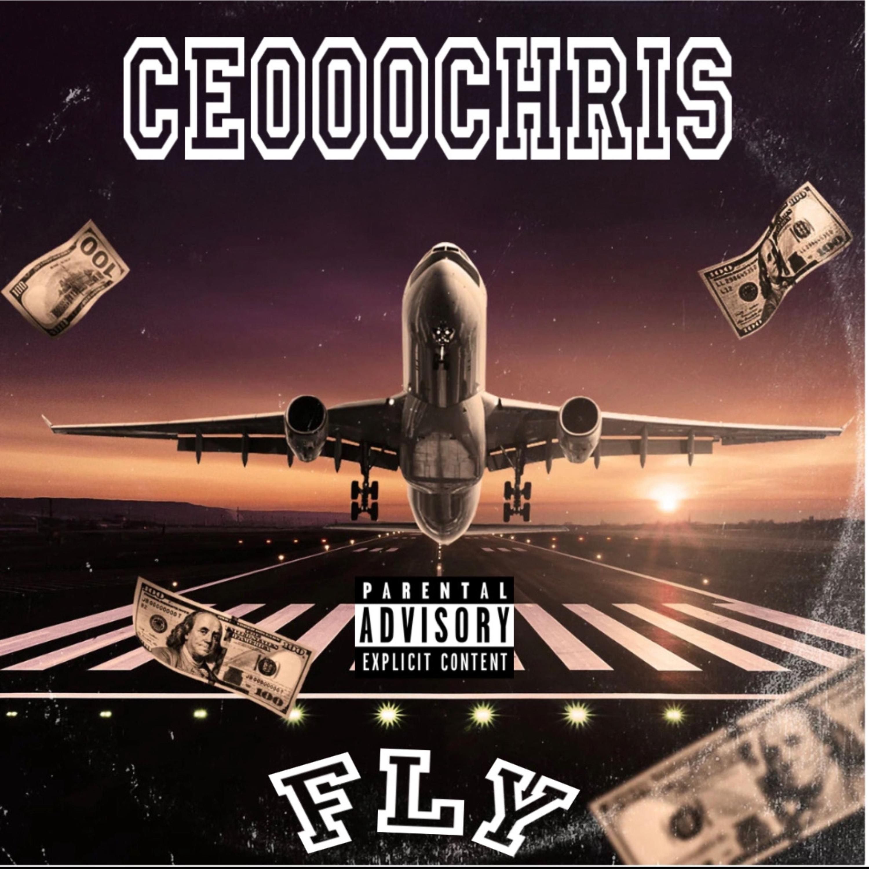 Fly by Ce000Chris cover art