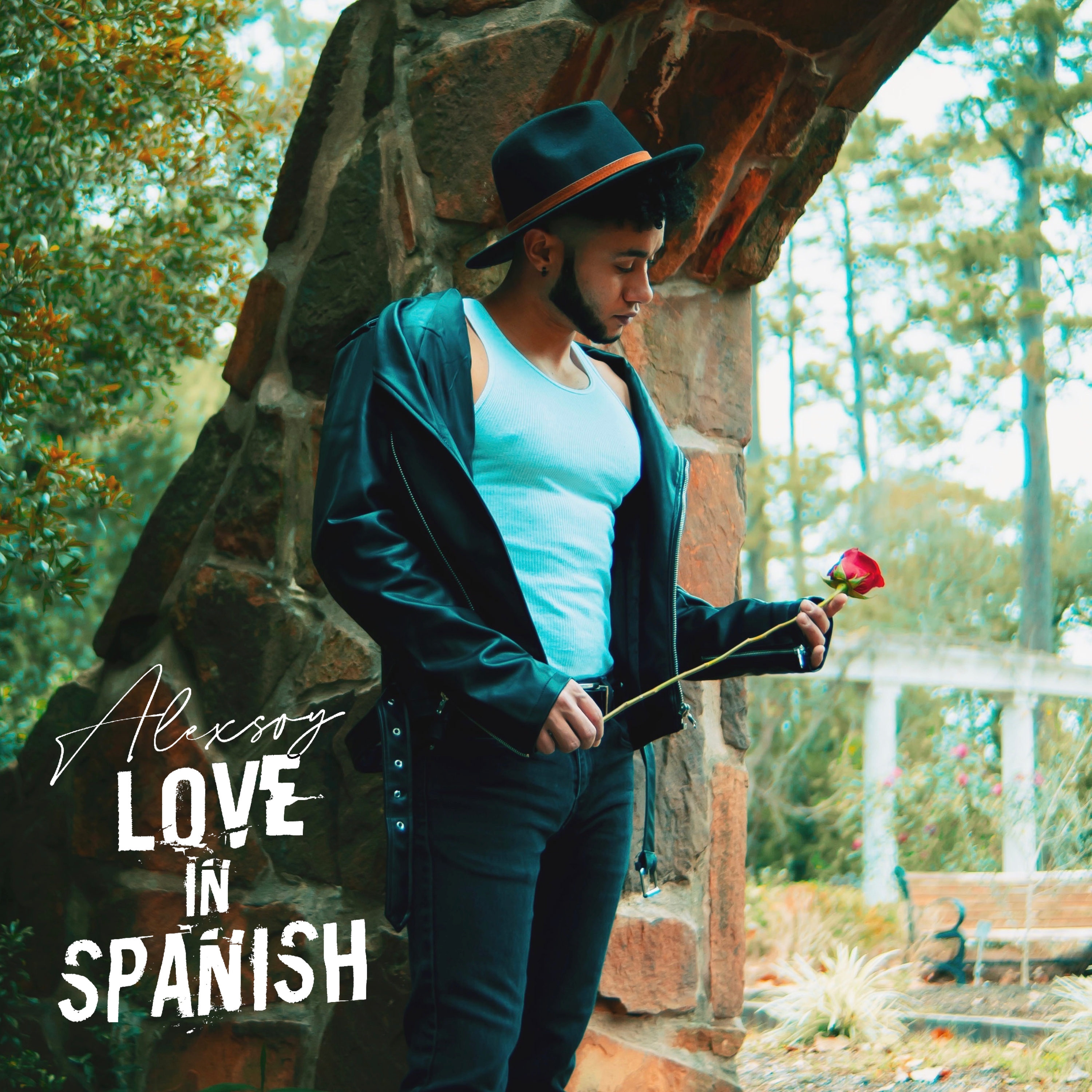 Love In Spanish artwork