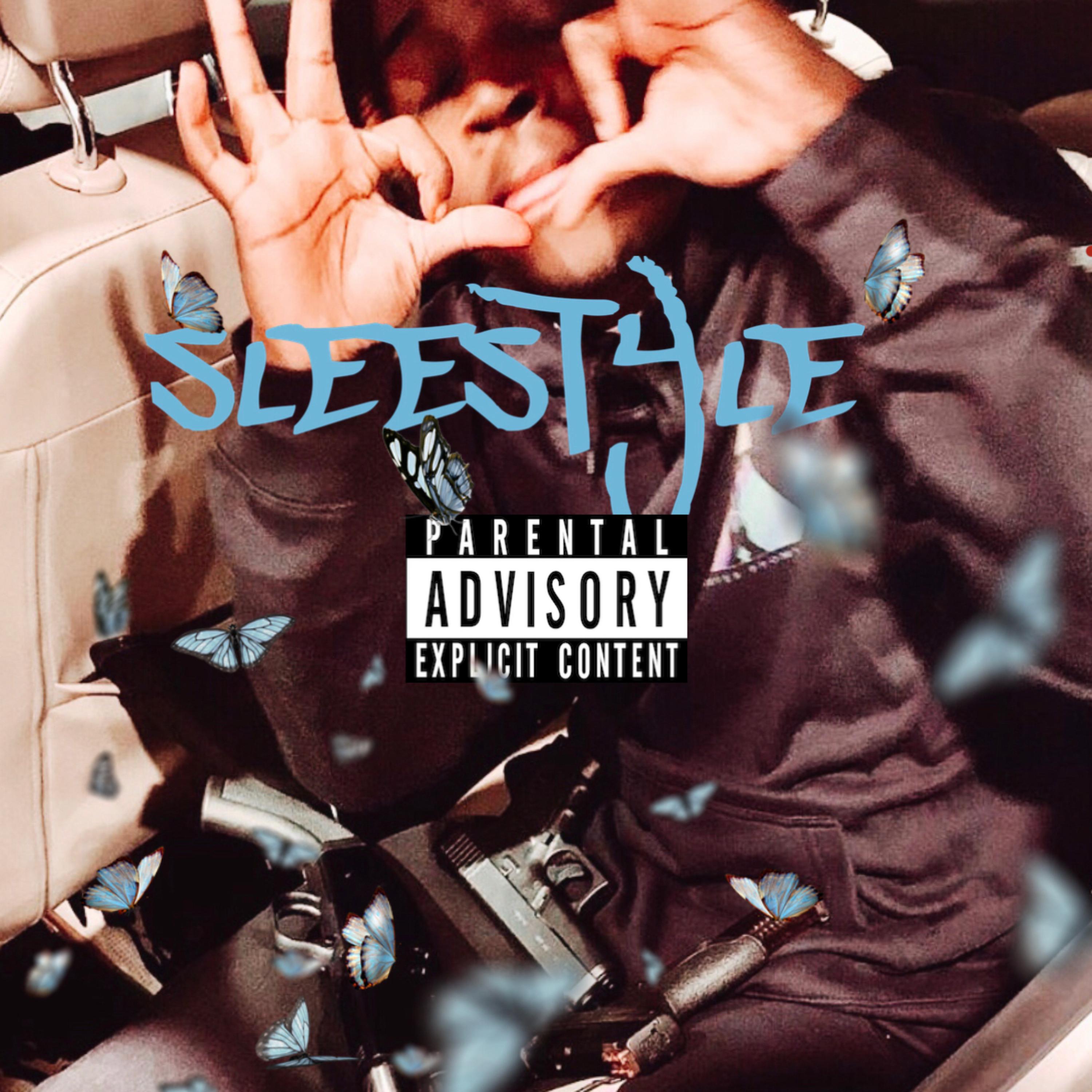 SLEESTYLE artwork