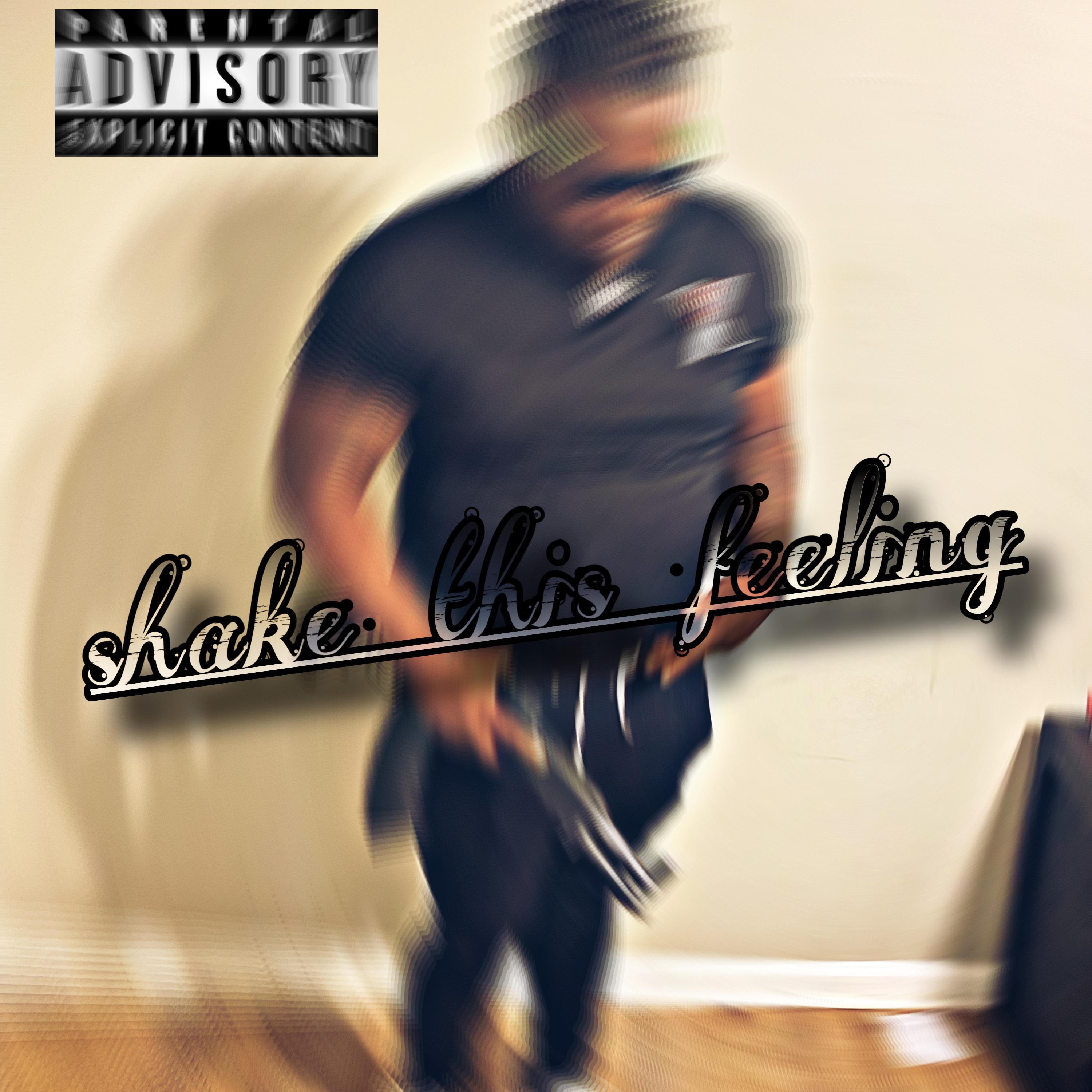 Shake This Feelin artwork