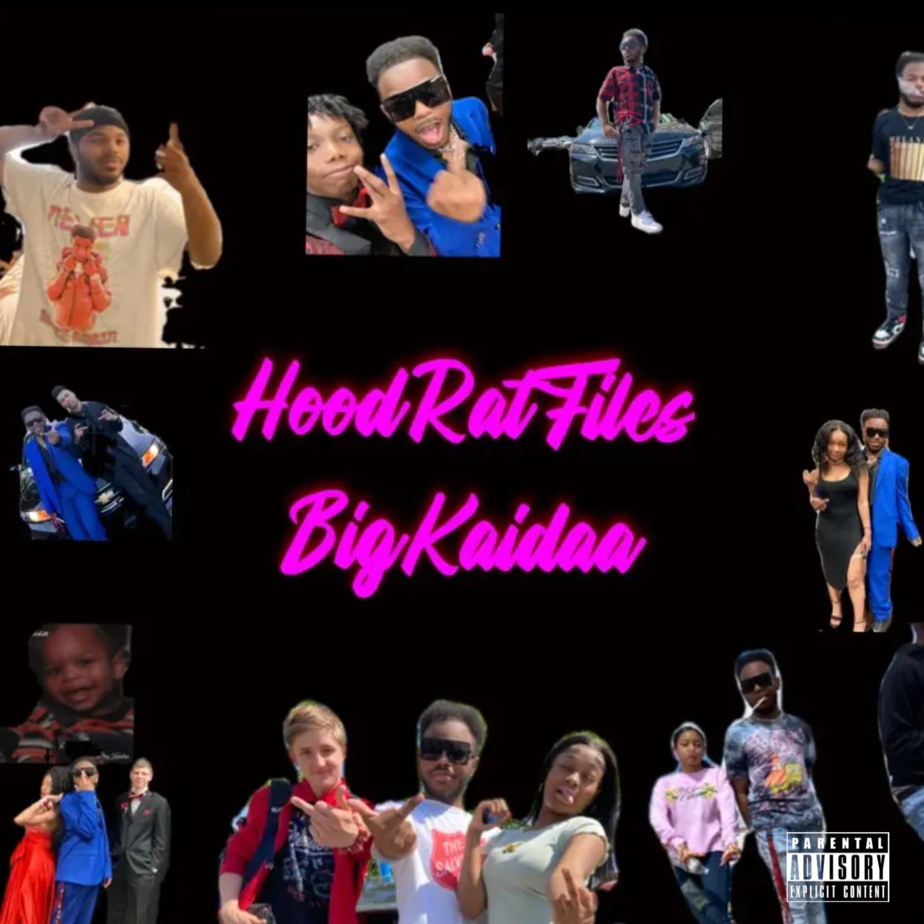 HoodRat Files artwork
