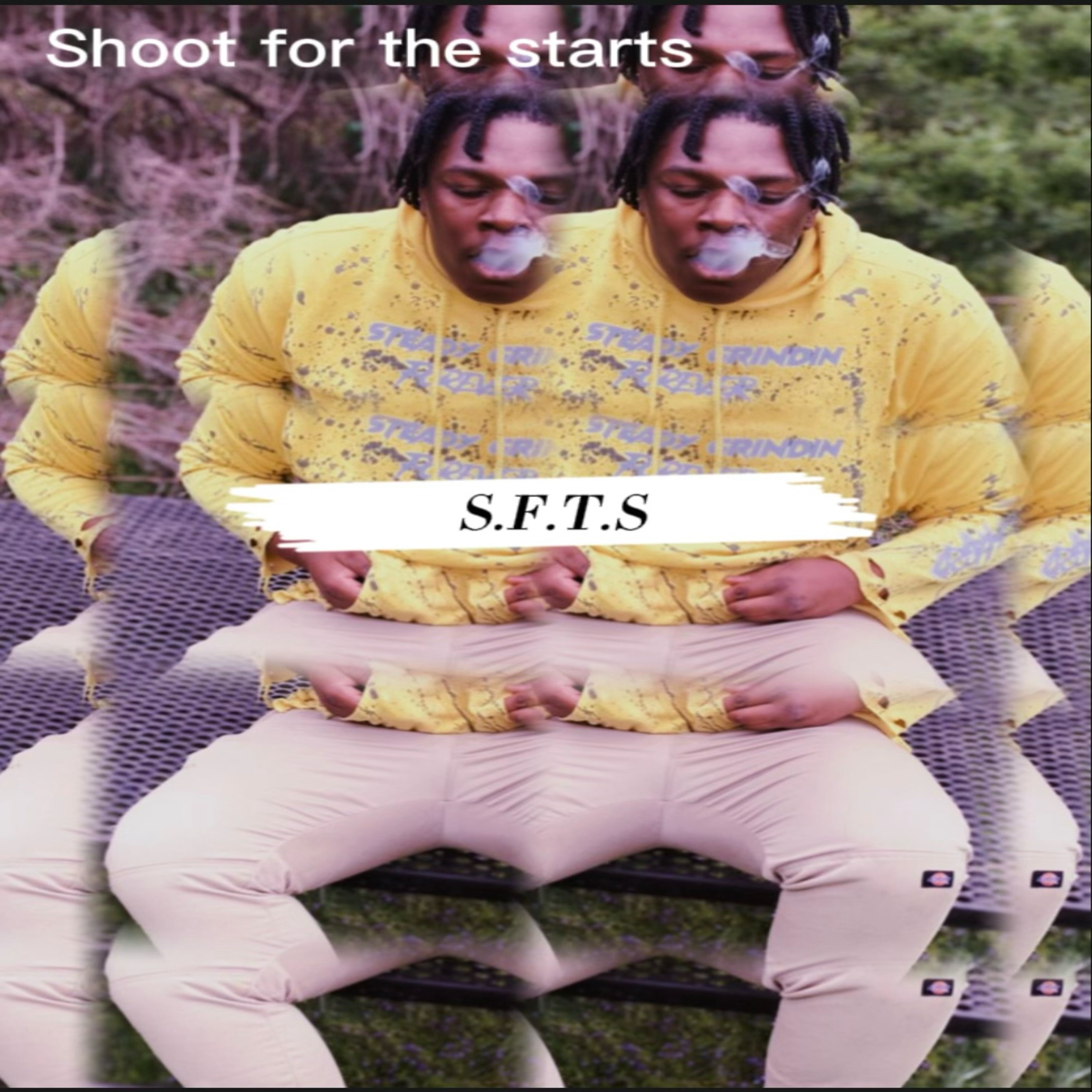 S.F.T.S artwork