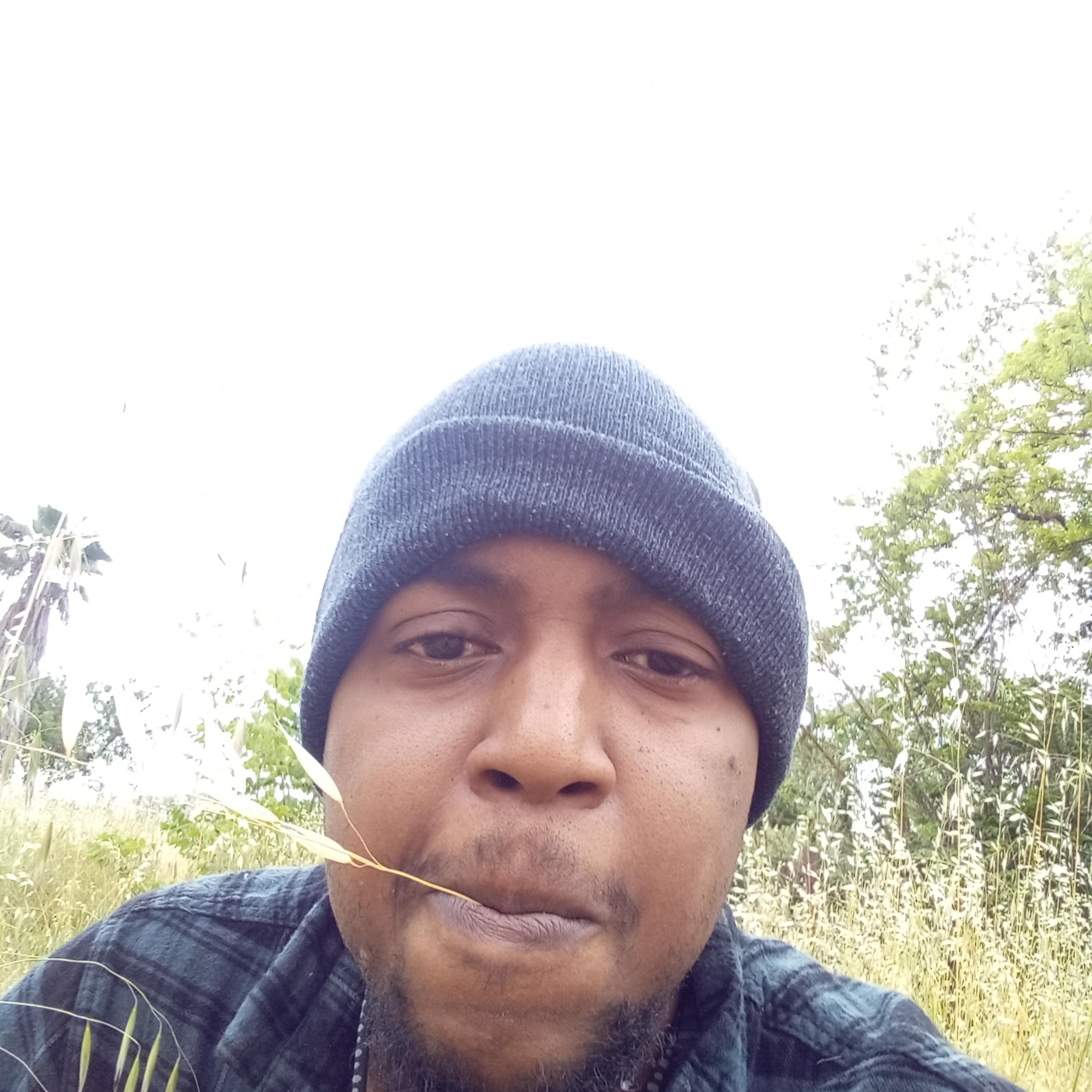 I do what I want artwork